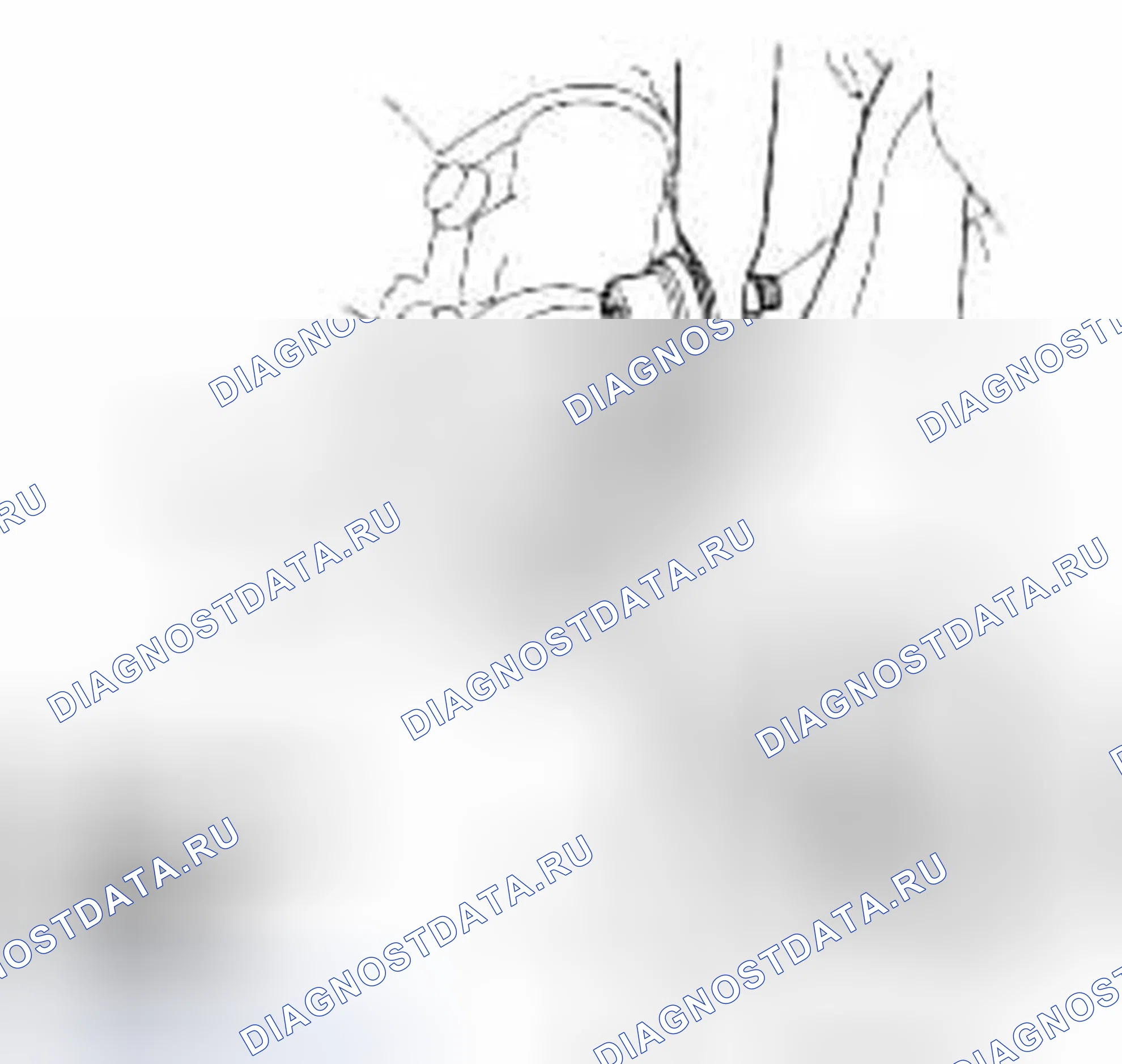 Рис. 23. Honda Element YH2 рестайлинг 2