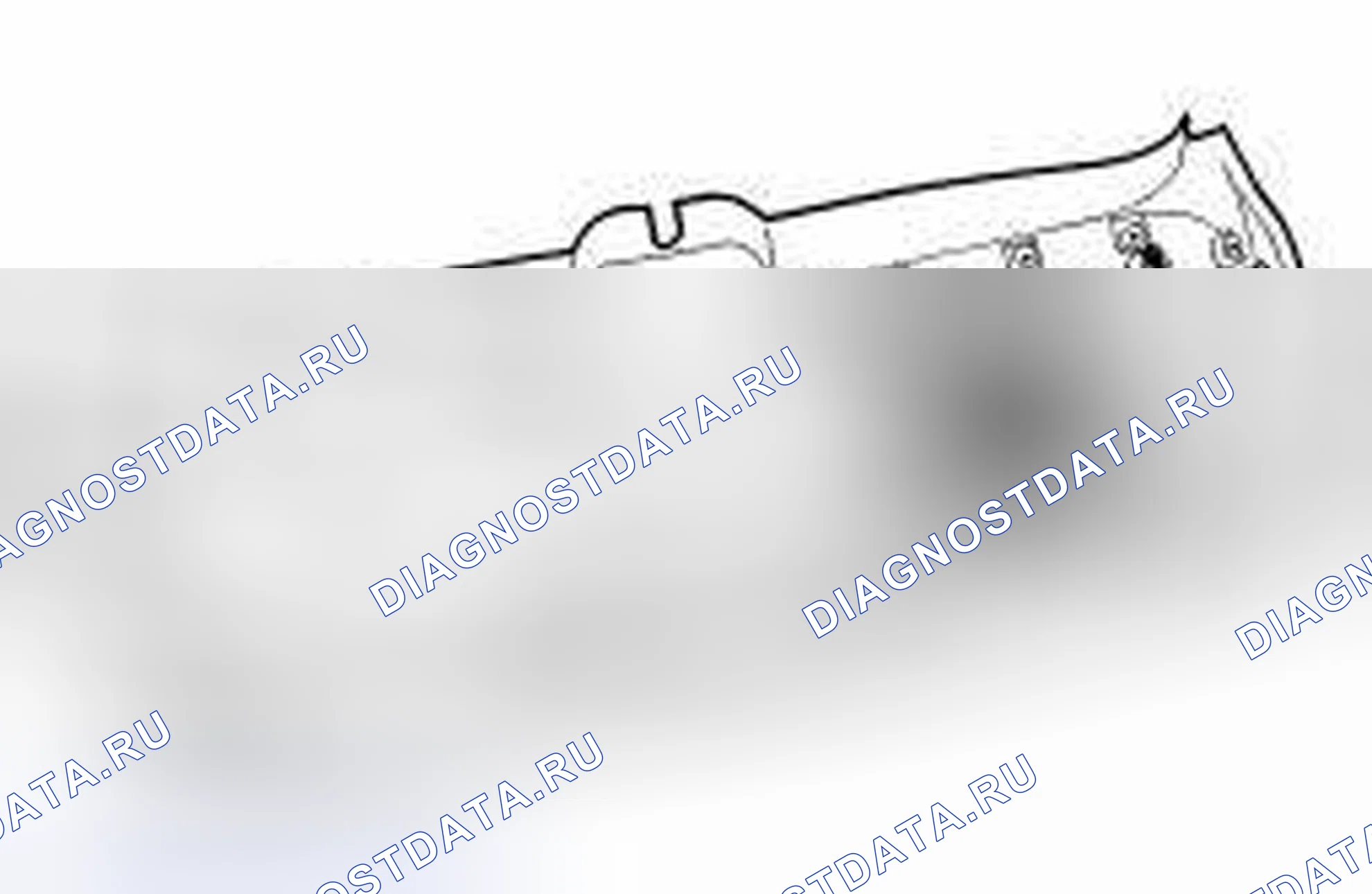 Рис. 65. Land Rover Range Rover Sport I рестайлинг