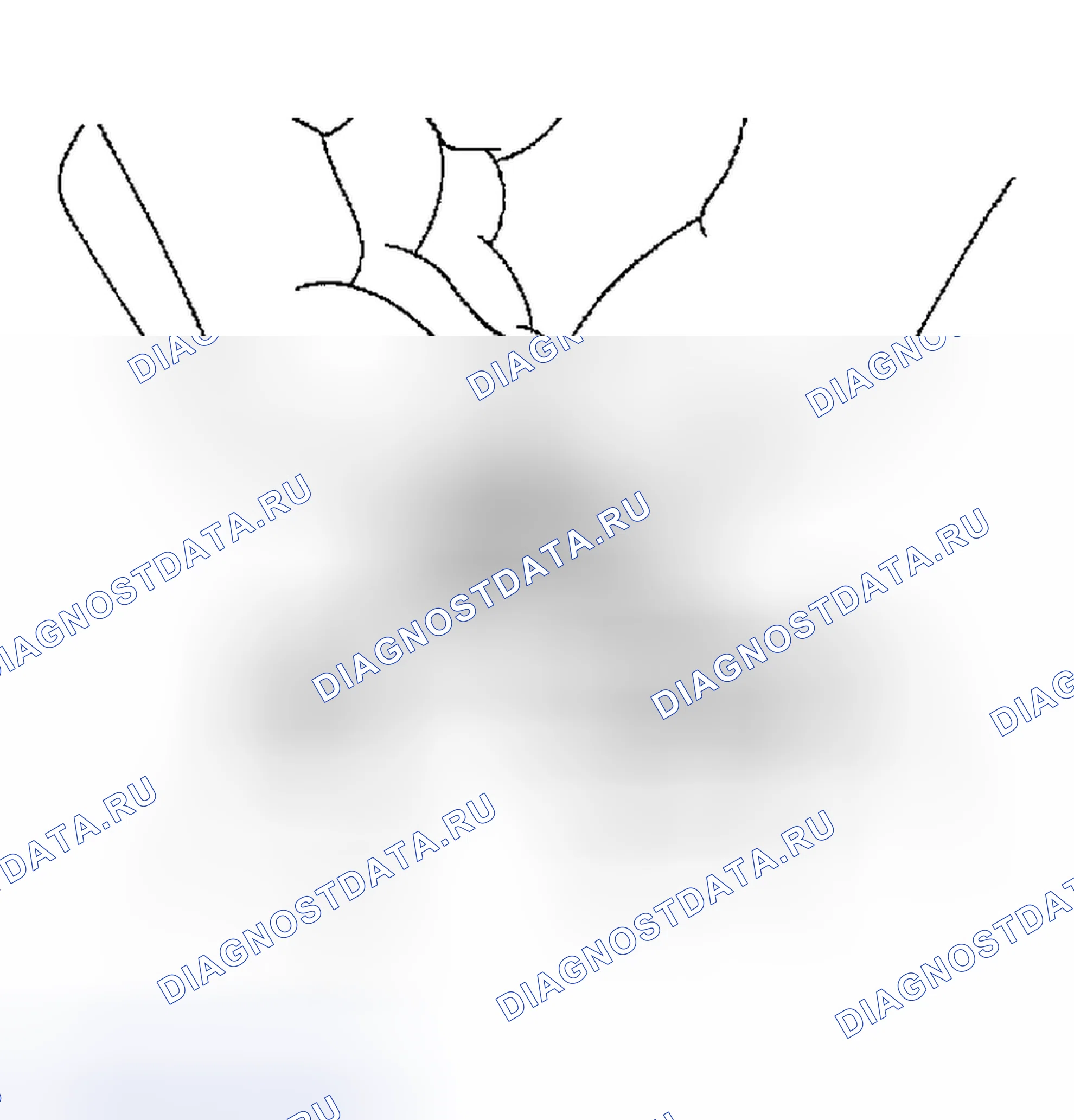 Рис. 21. Nissan Maxima A33
