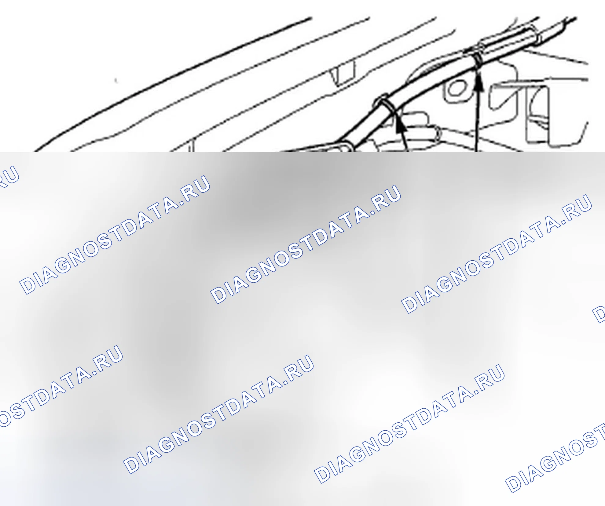 Рис. 24. Honda Crosstour I