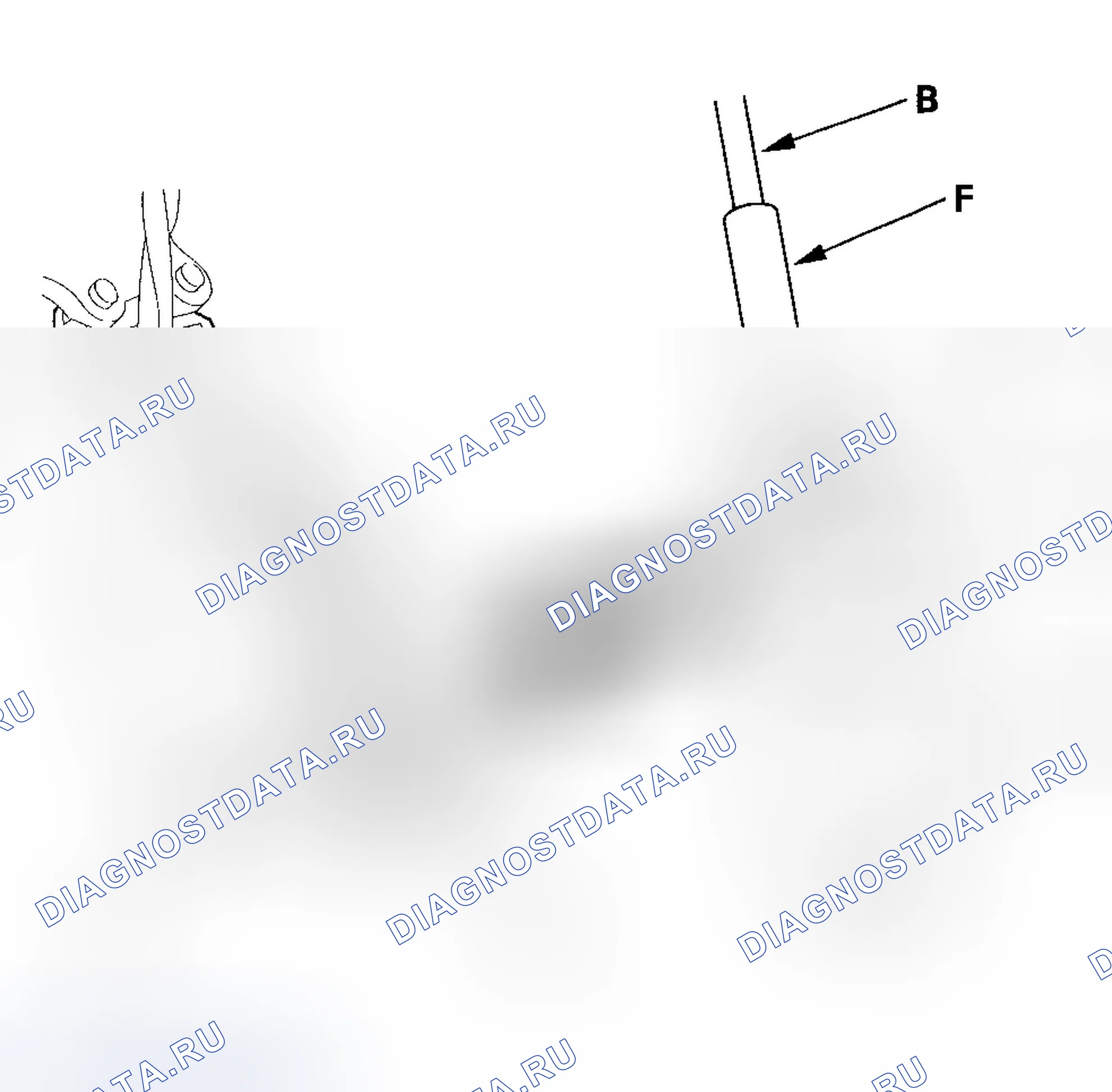 Рис. 429. Honda Element YH2