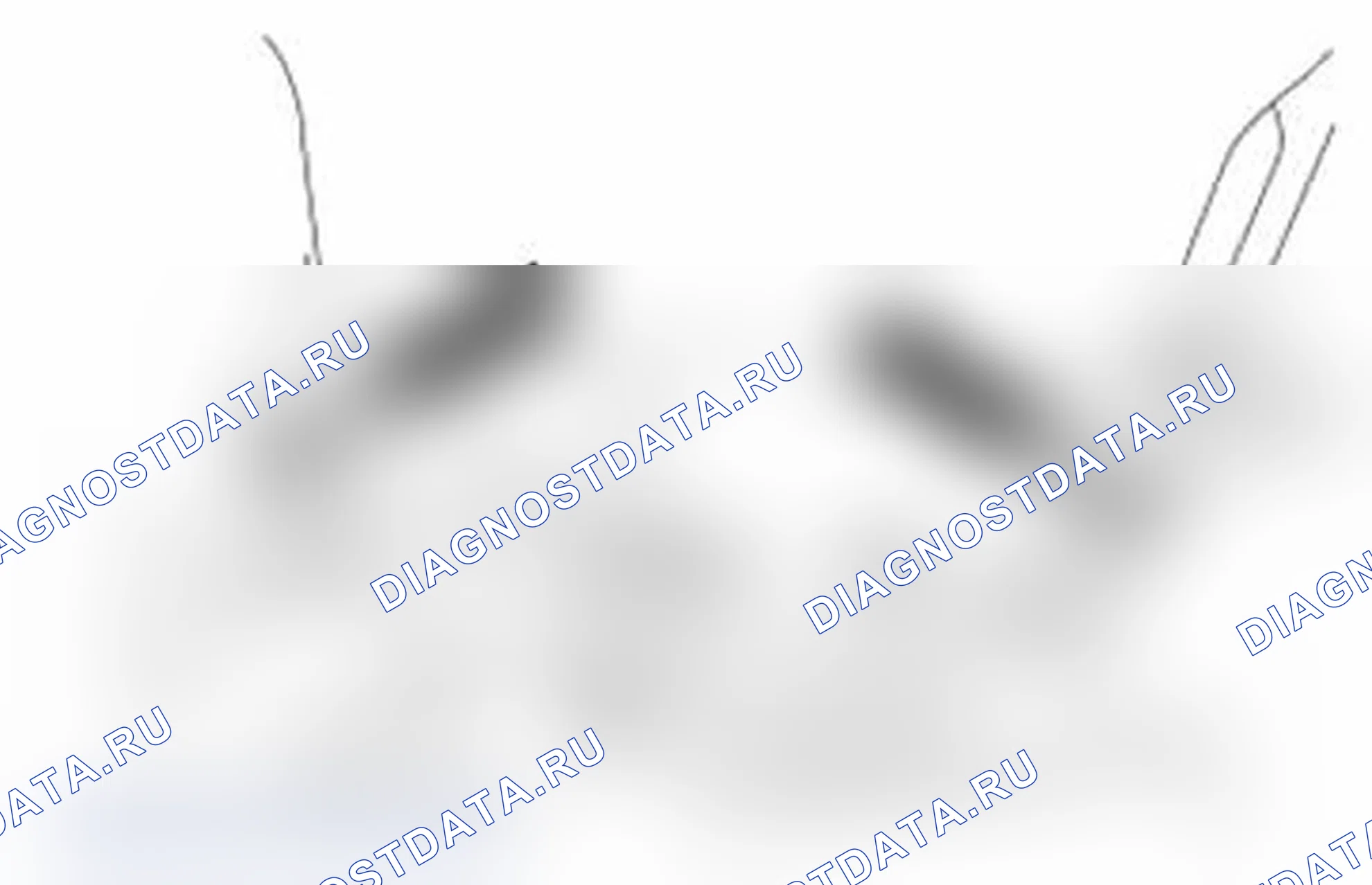 Рис. 93. Ford Transit Connect I рестайлинг