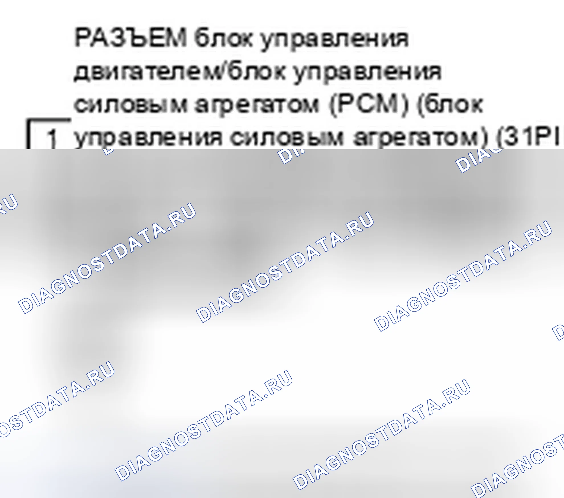 Рис. 509. Honda Element YH2 рестайлинг 2