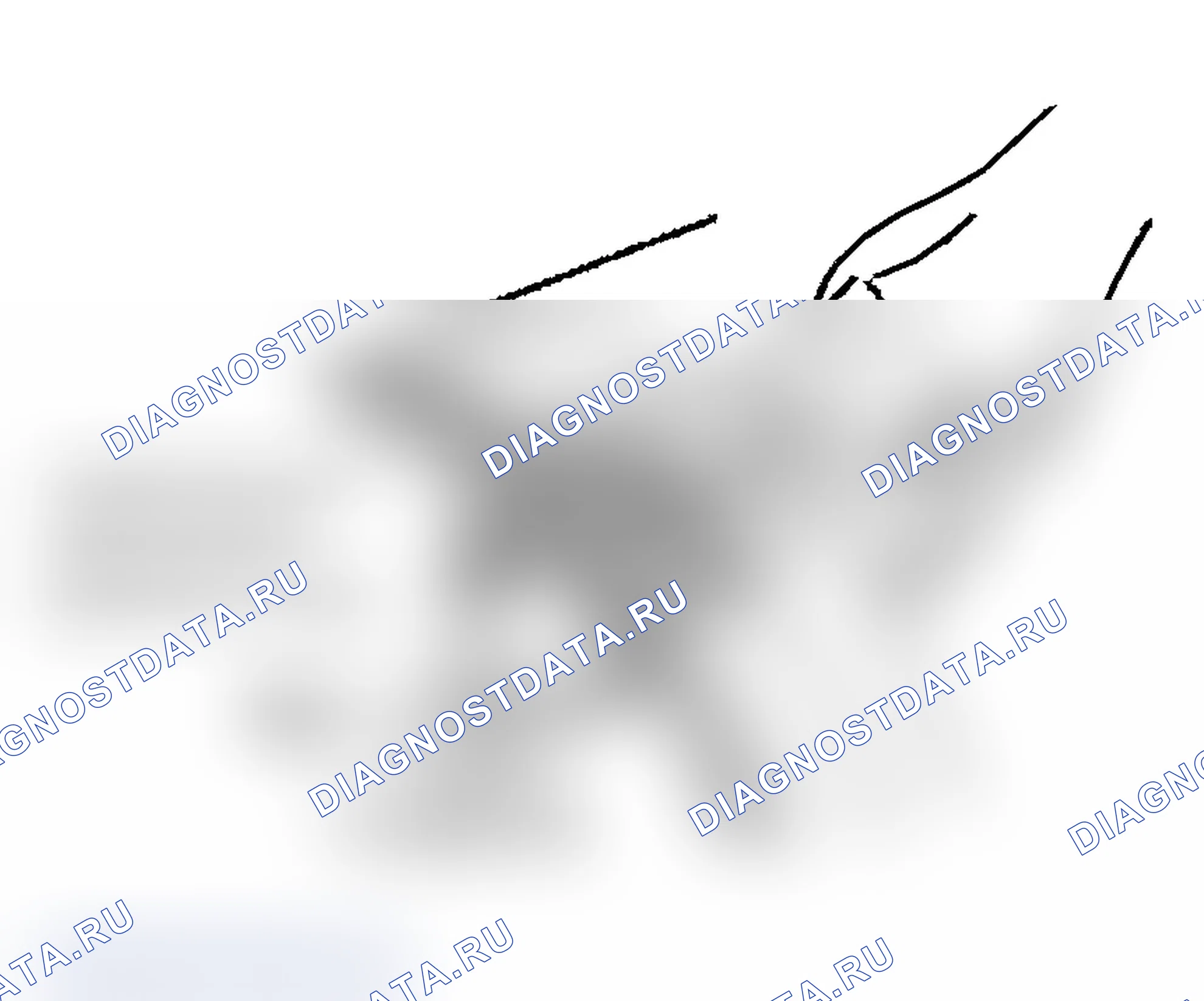 Рис. 9. Volkswagen New Beetle A4 рестайлинг