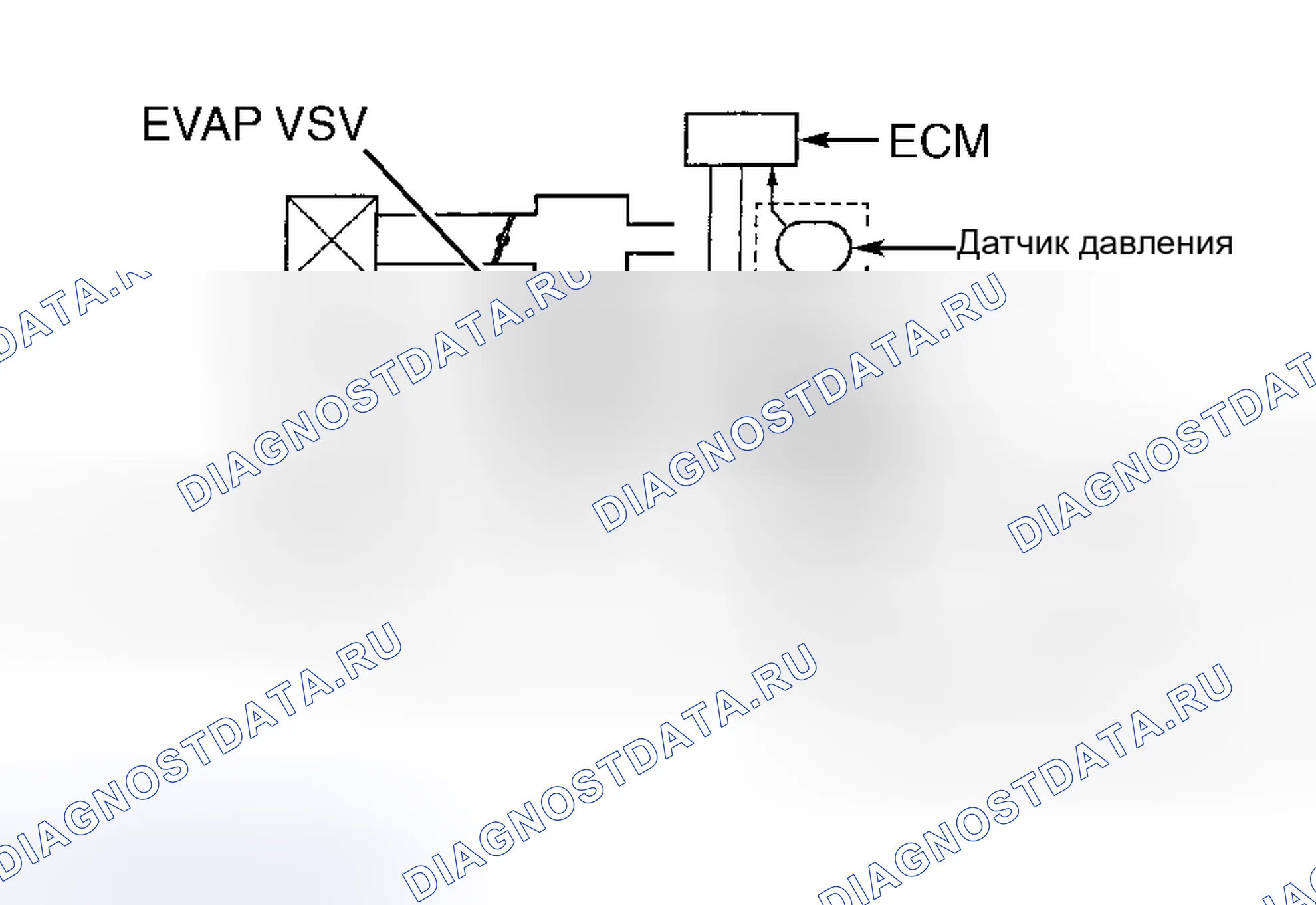 Рис. 21: Датчик давления паров (Land Cruiser и Tundra). Toyota Camry XV30