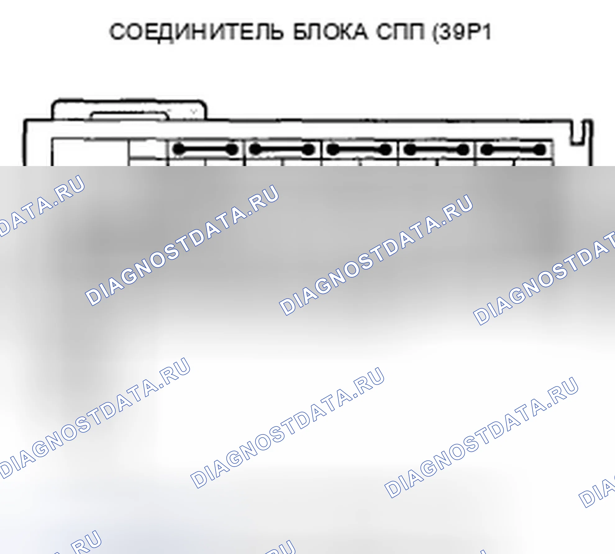 Рис. 480. Honda Crosstour I