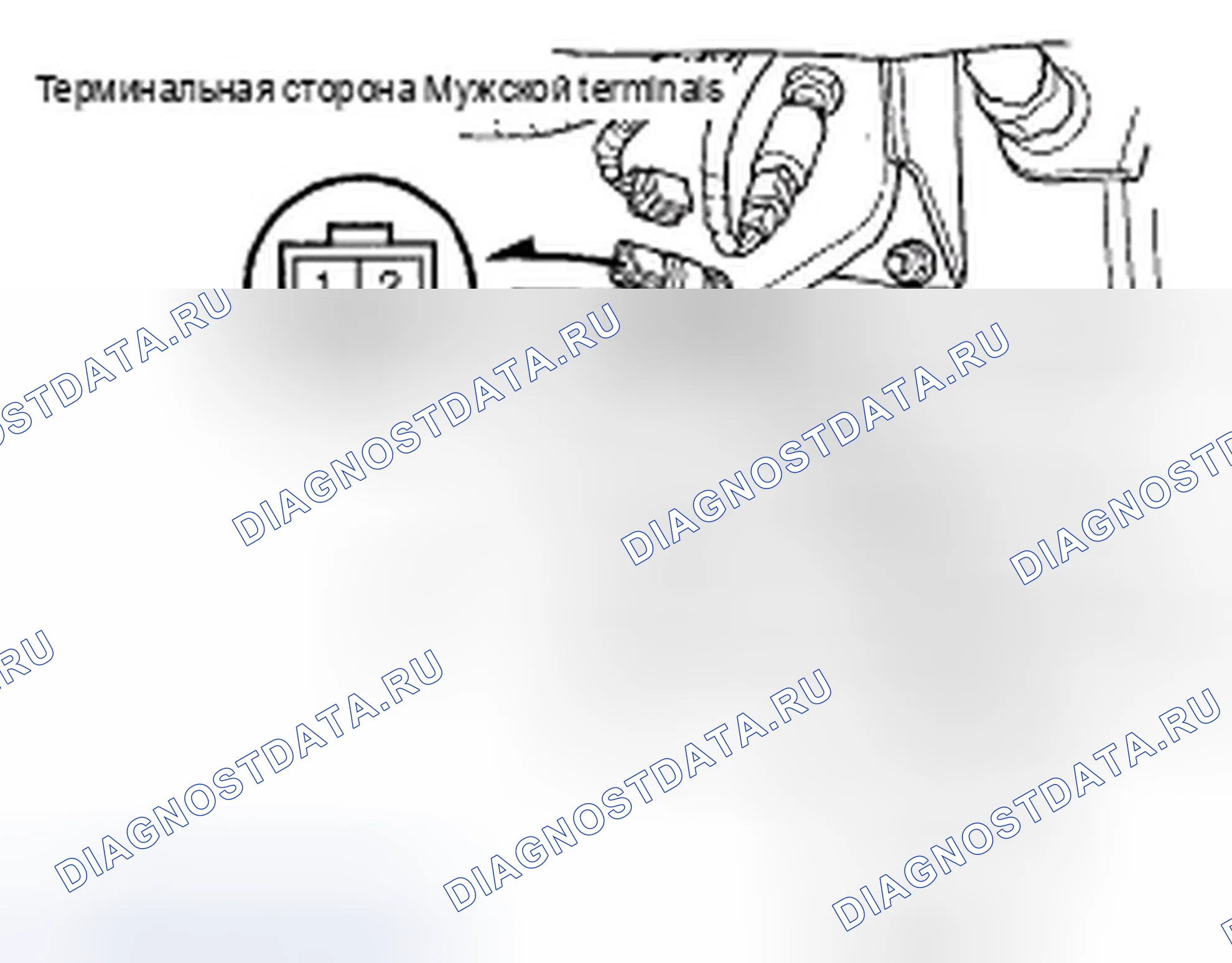 Рис. 11: М / Т. Honda Element YH2 рестайлинг