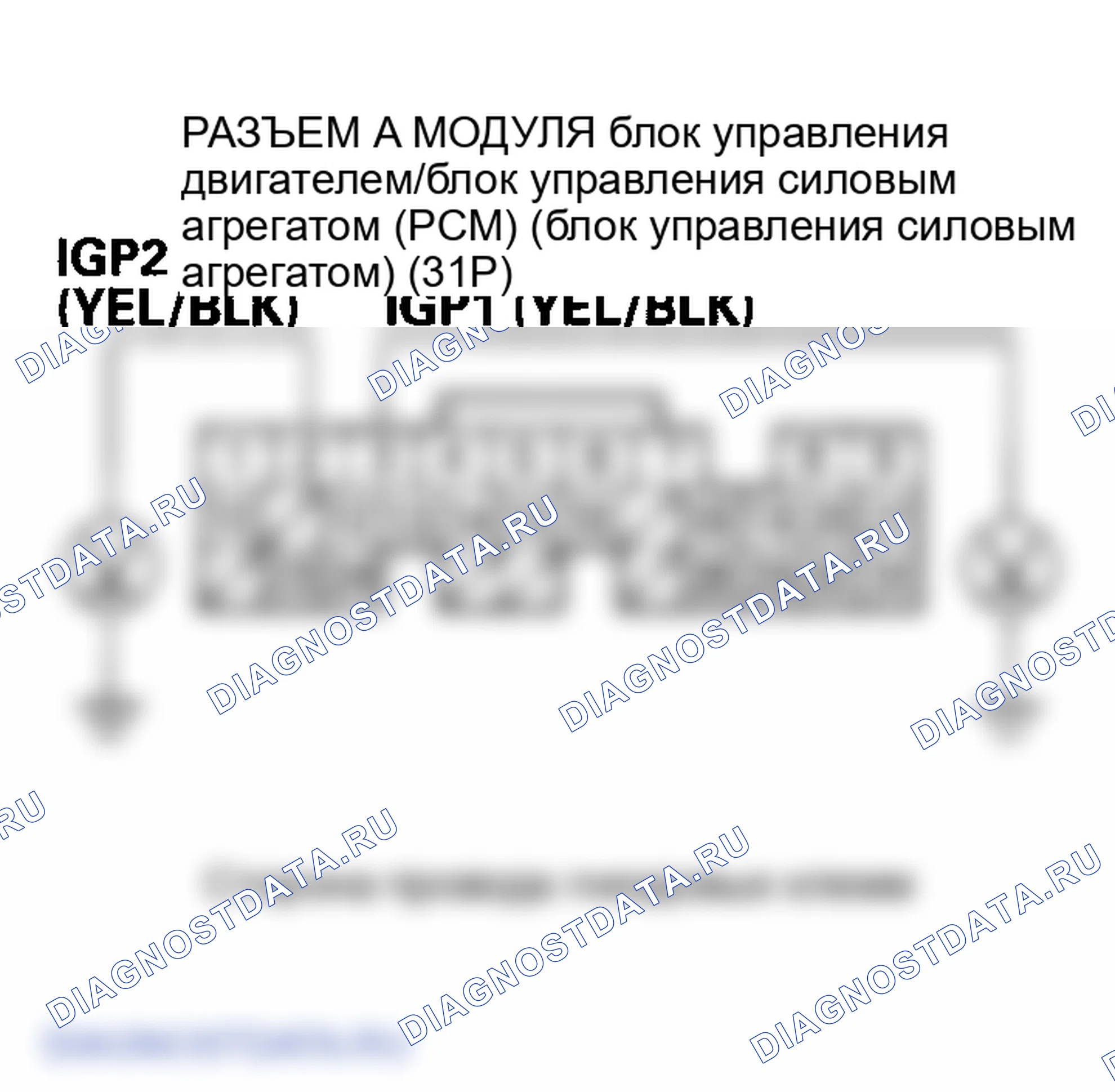Рис. 147. Honda Element YH2