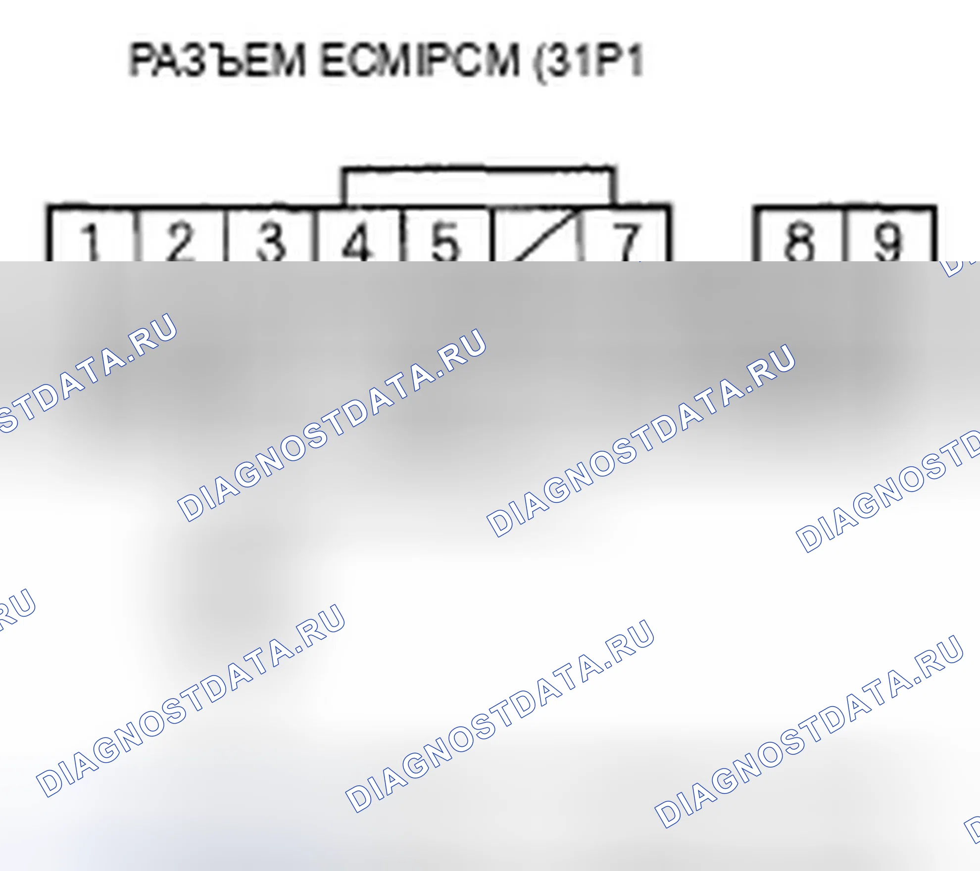 Рис. 148. Acura TSX I