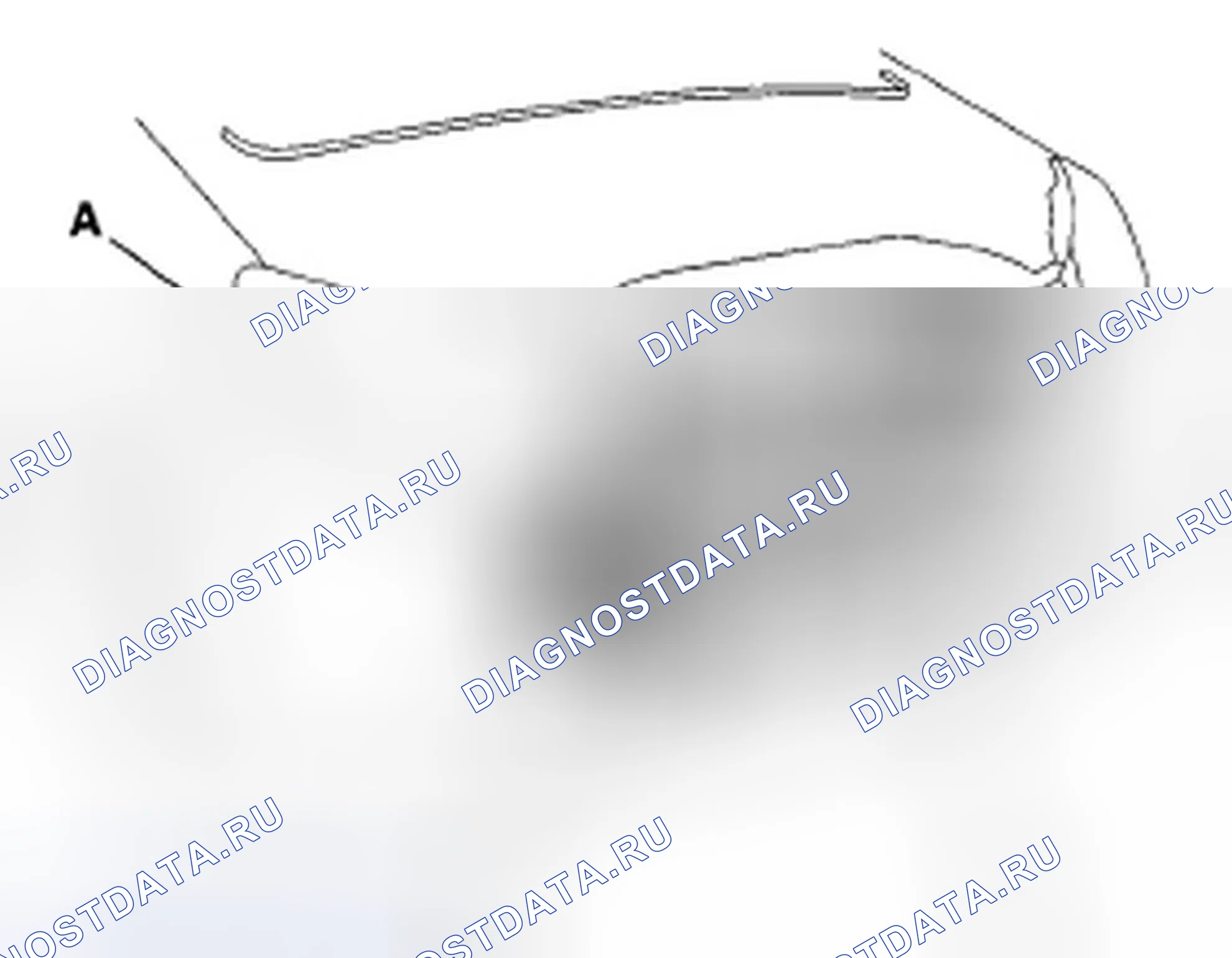 Рис. 8. Honda Odyssey IV