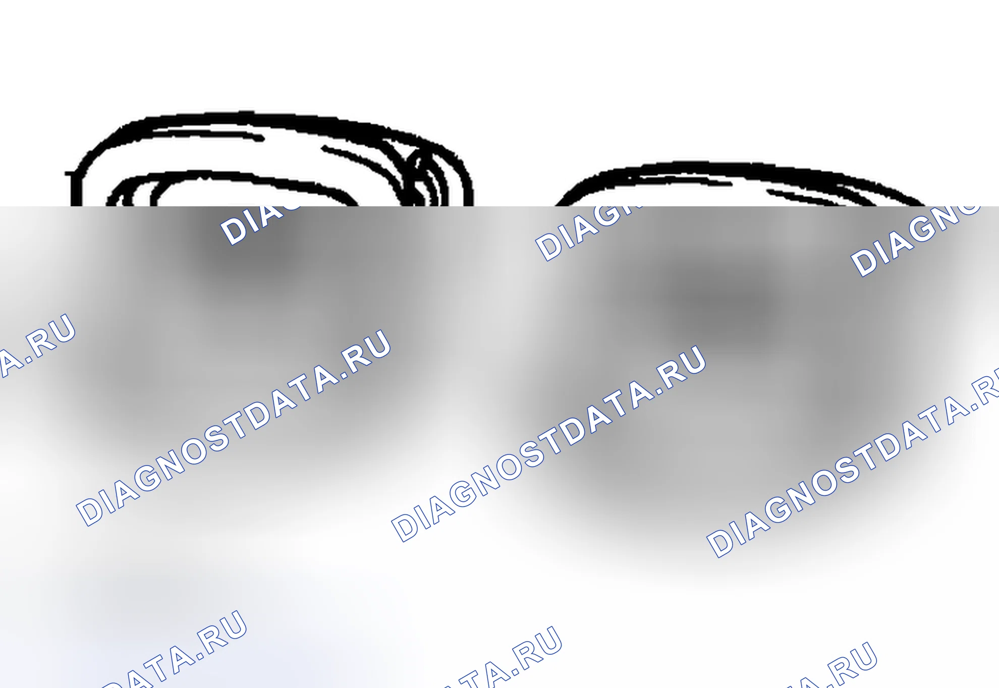 Рис. 51. Haval Chitu I