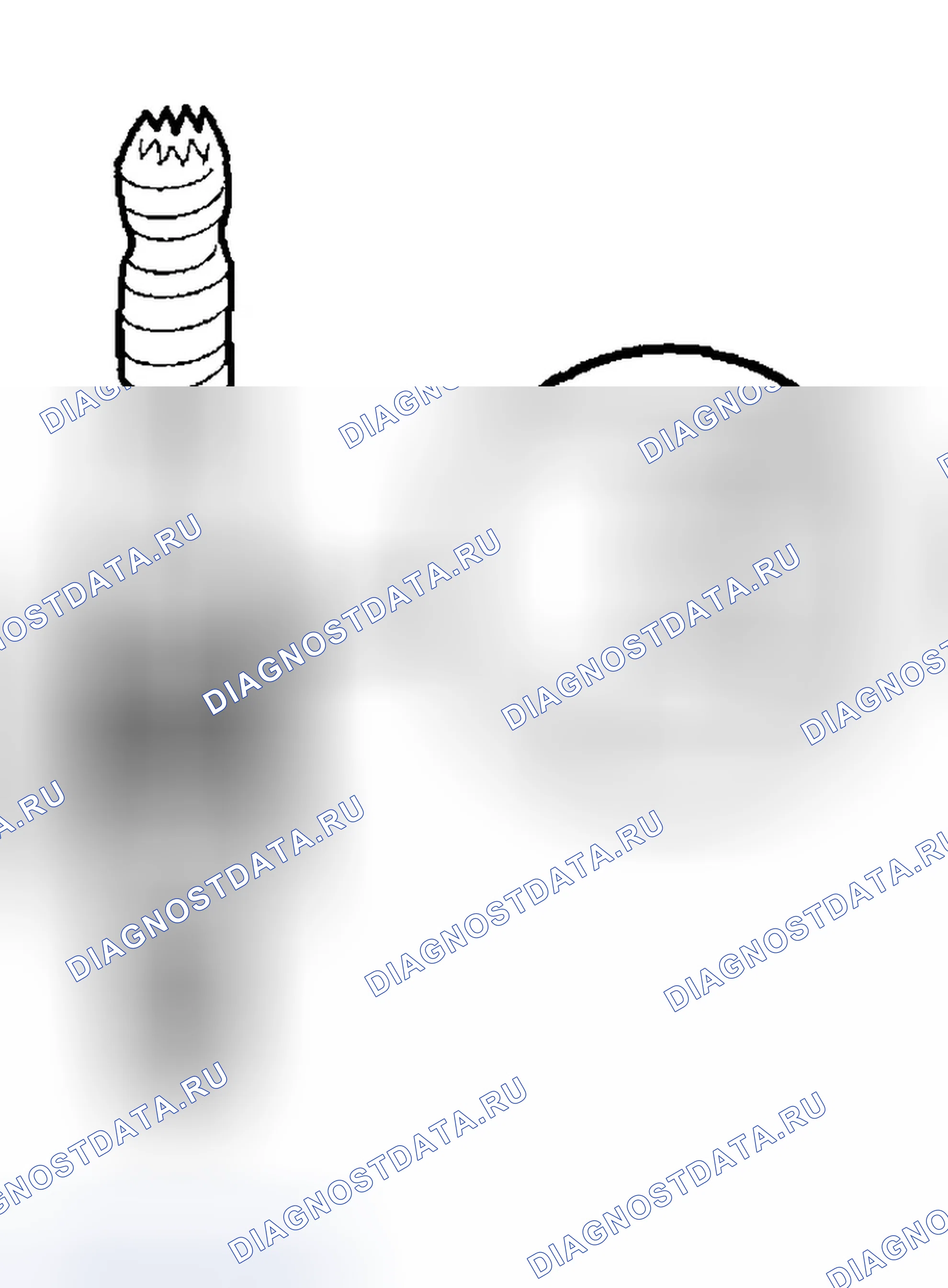 Рис. 54. Honda Accord VI