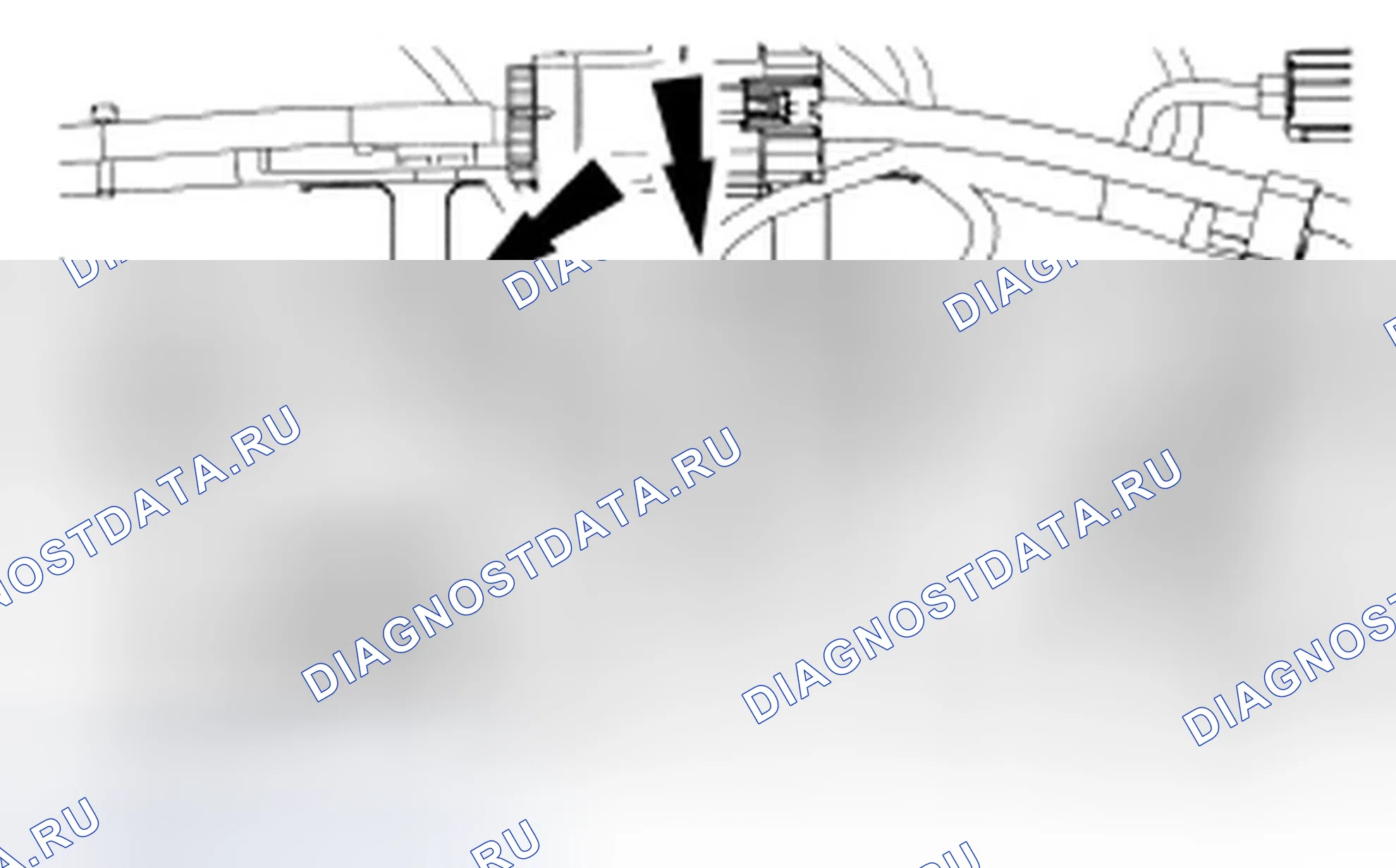 Рис. 1. Ford Focus II