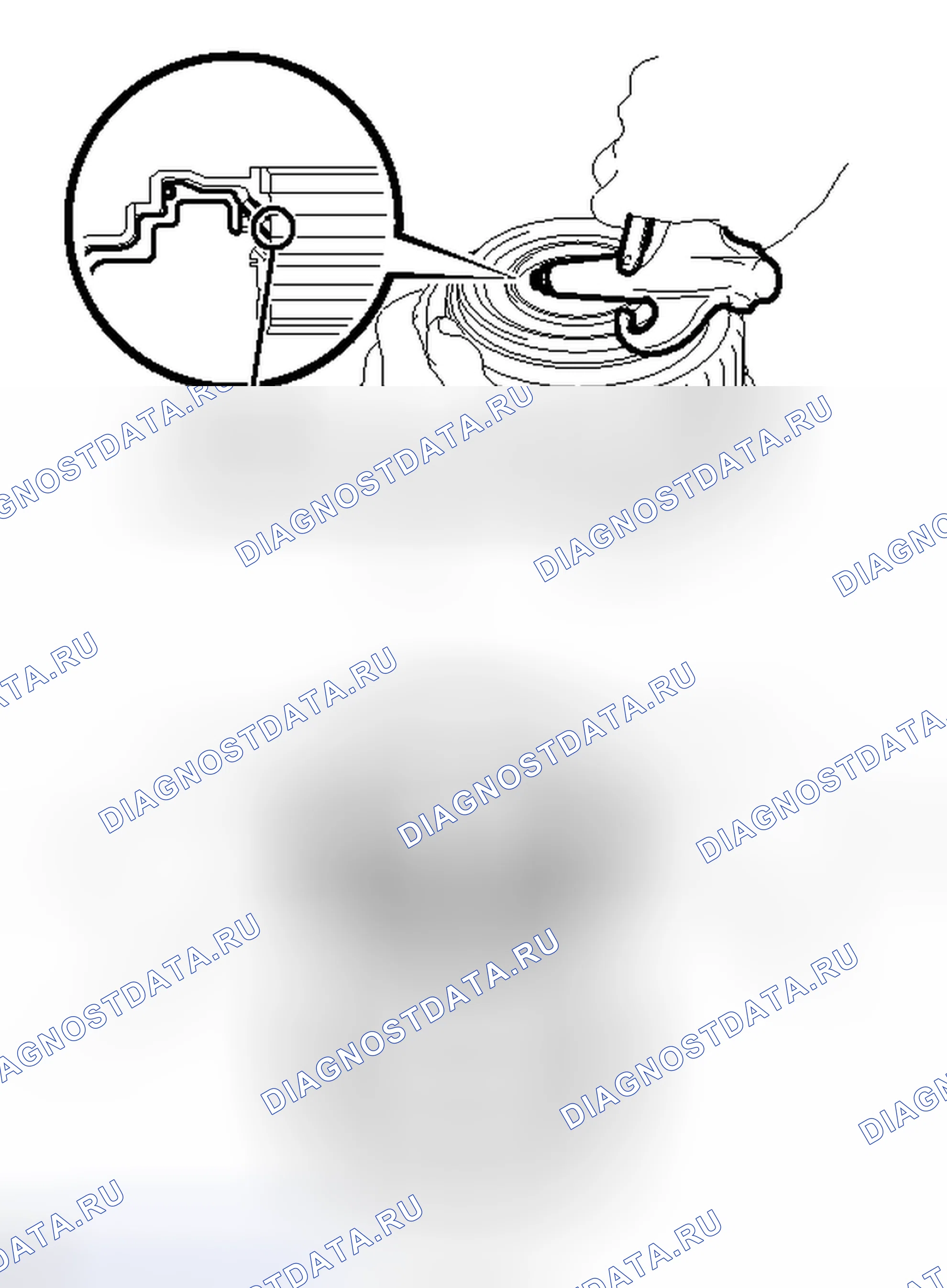 Рис. 220. Lexus IS F I