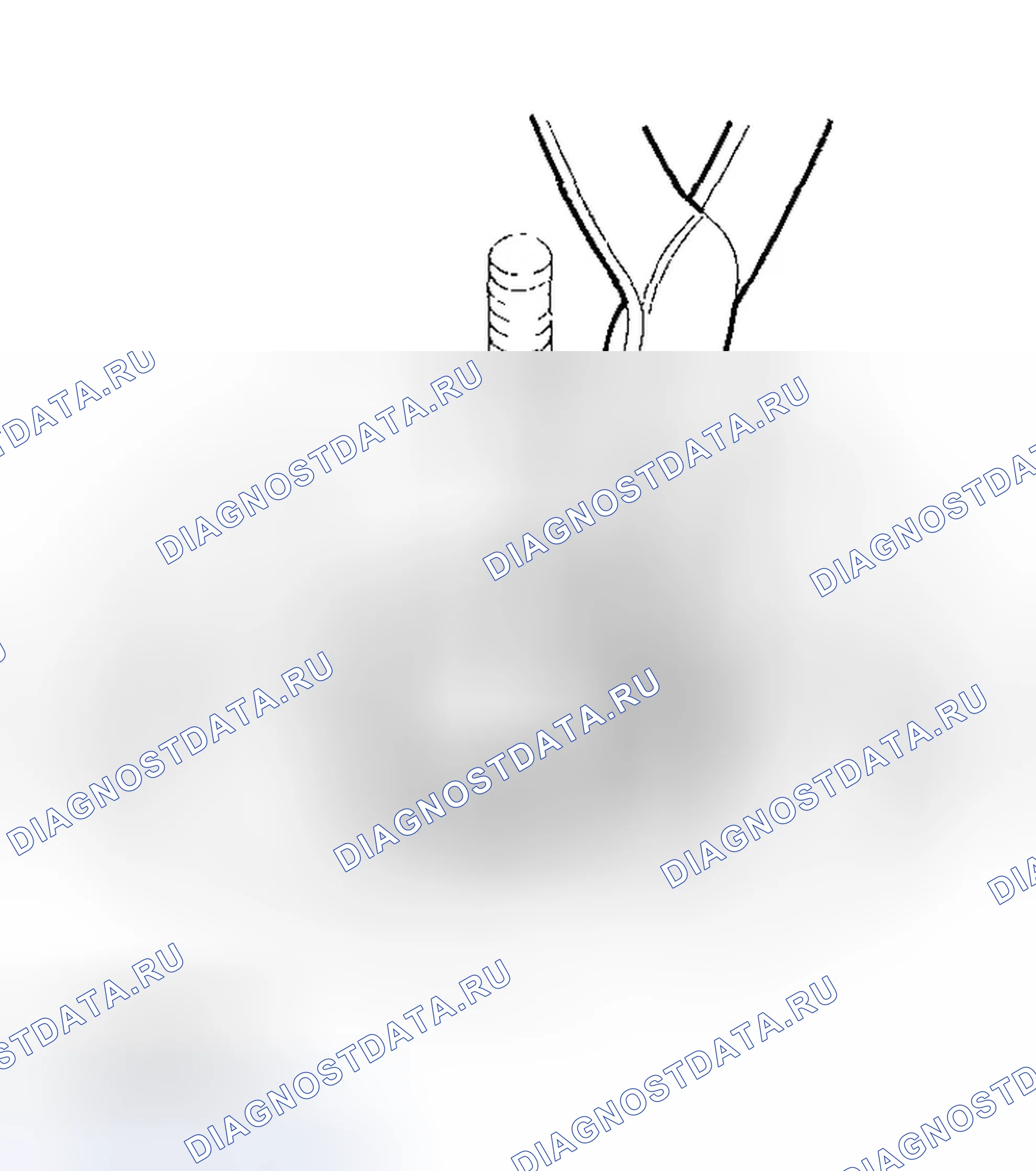 Рис. 340. Honda Element YH2