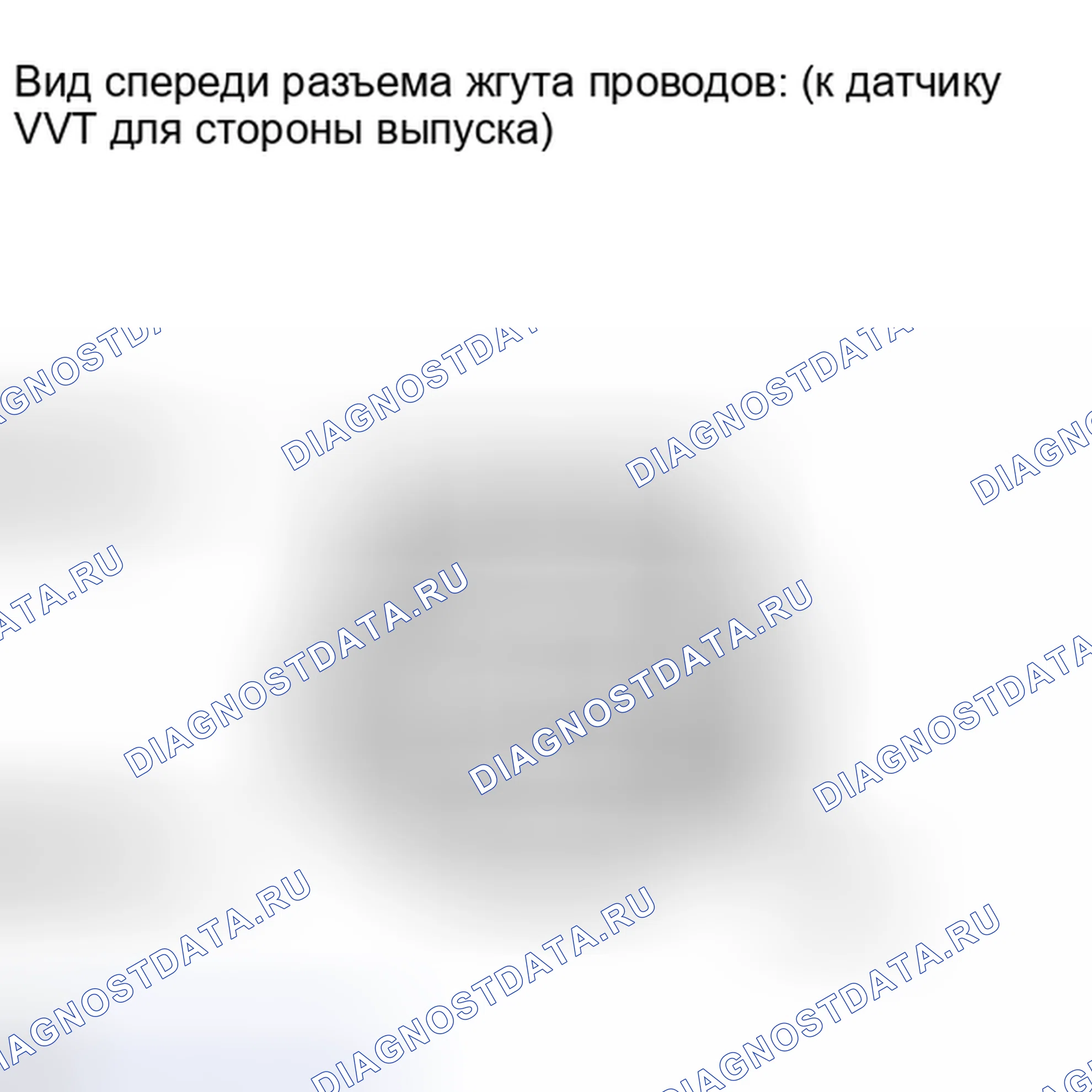 Рис. 317. Lexus IS F I