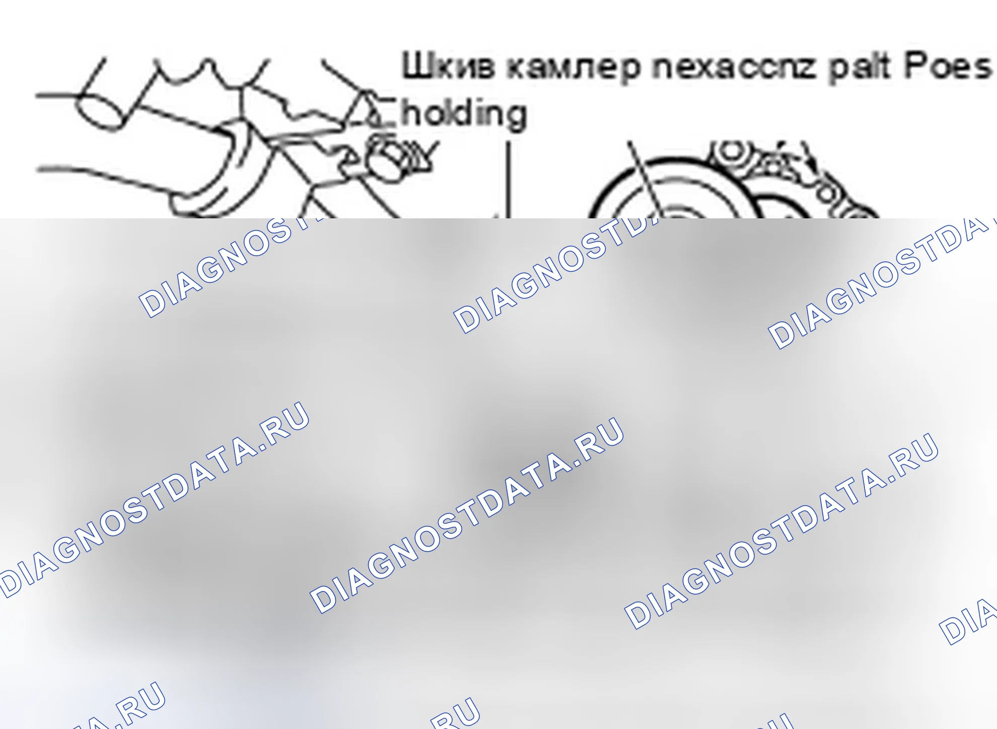 Рис. 7: Генератор переменного тока, водяной насос и ремень компрессора переменного тока. Infiniti FX45 I рестайлинг