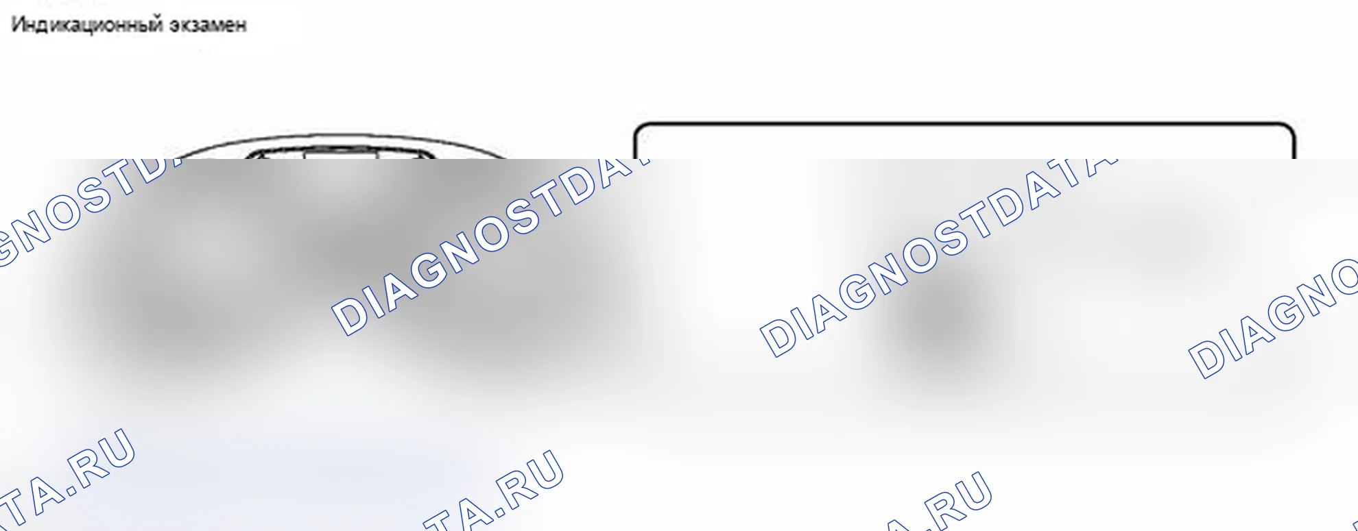 Рис. 43. Lexus IS F I