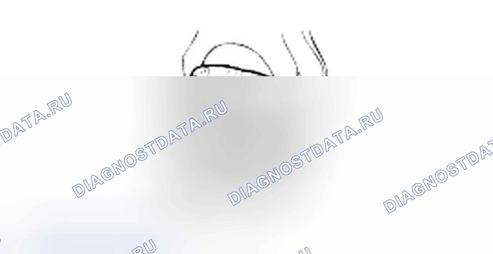 Разборка муфты реверса и овердрайва. Hyundai H-1 A1