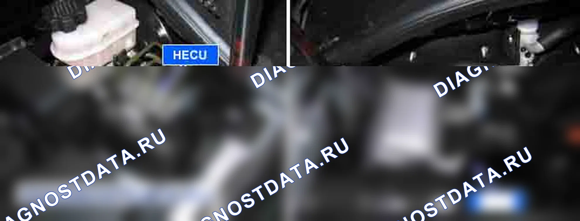 C1611: CAN тайм-аут EMS (ESP). Kia Sorento BL