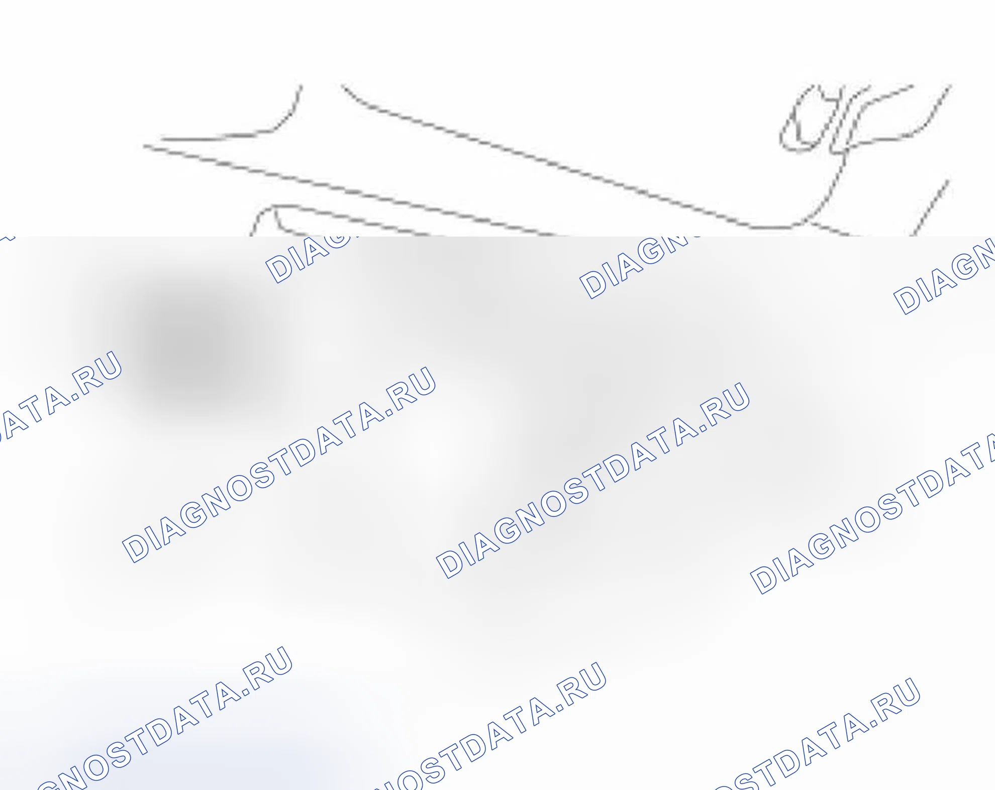 Рис. 53. Ford Focus I рестайлинг