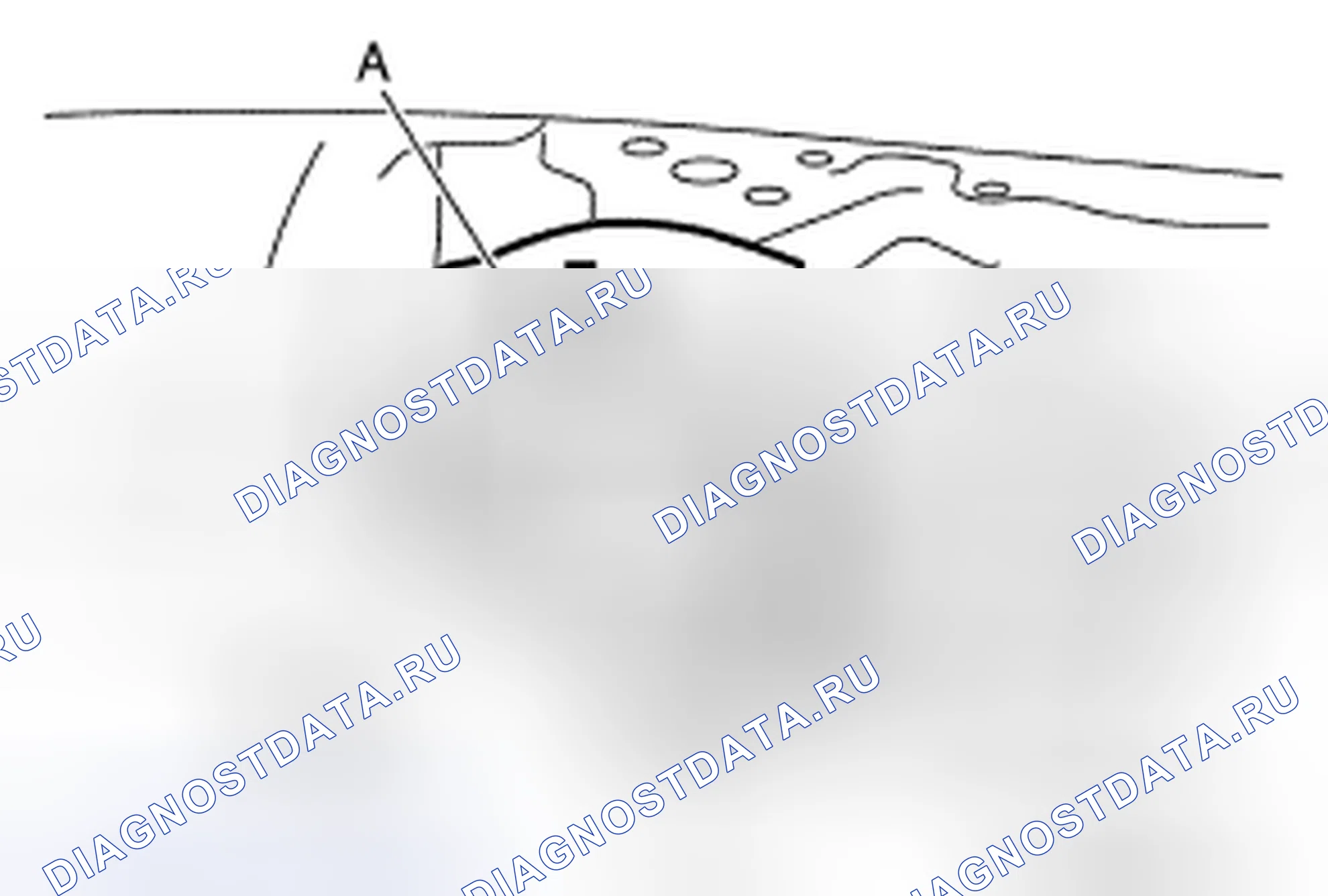 Рис. 13. Nissan Quest IV