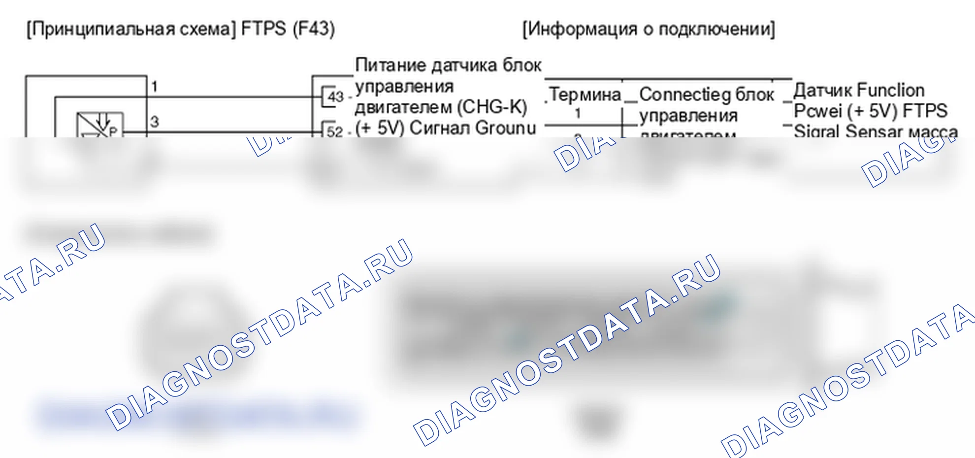 Фрагмент электросхемы: Датчик давления топливного бака (FTPS). Hyundai Genesis Coupe(Bk)-U.S. I