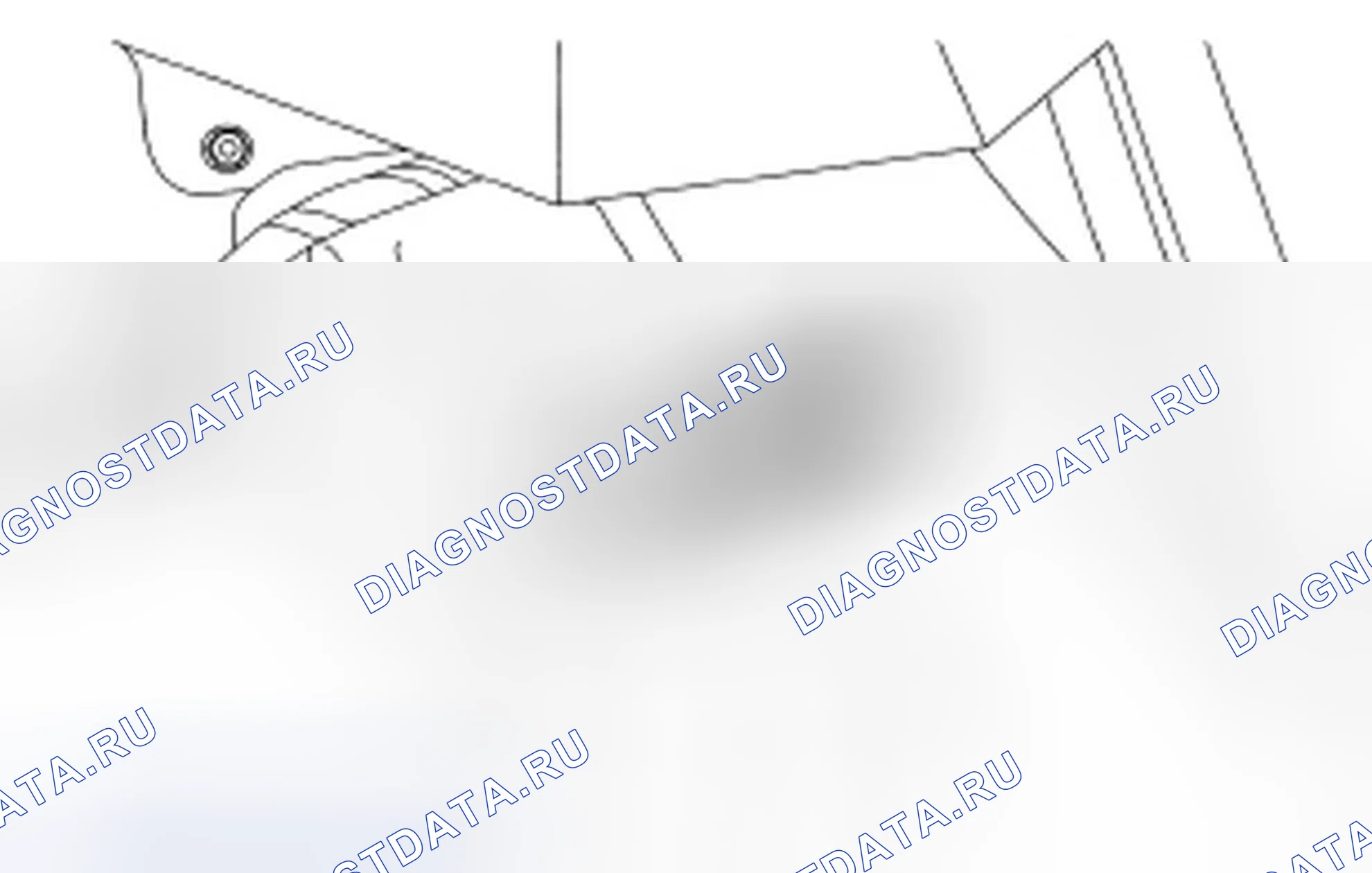 Рис. 11. Ford Focus II