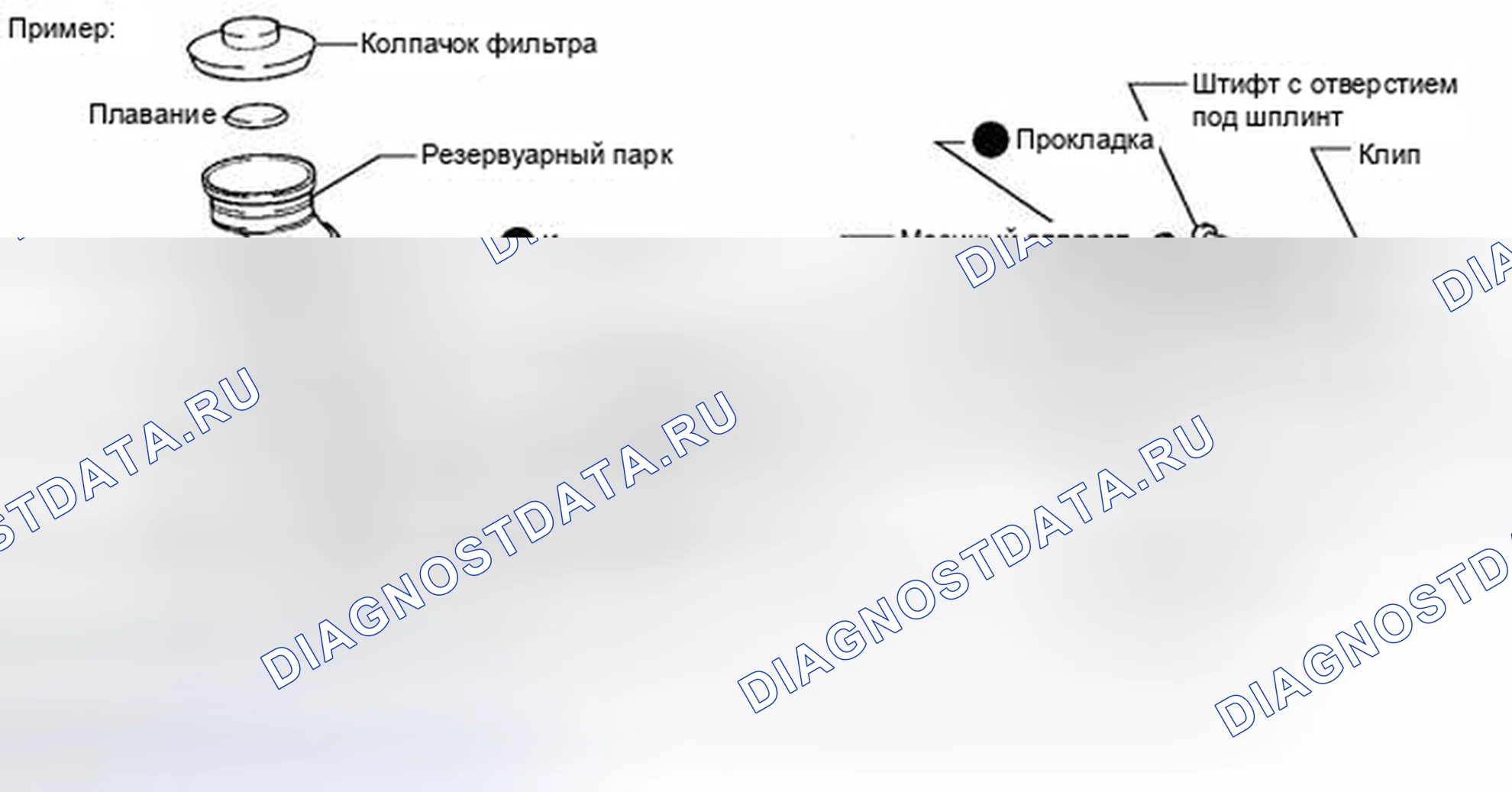 Рис. 1: ОБЩИЕ СВЕДЕНИЯ. Toyota Avalon XX30 рестайлинг 2