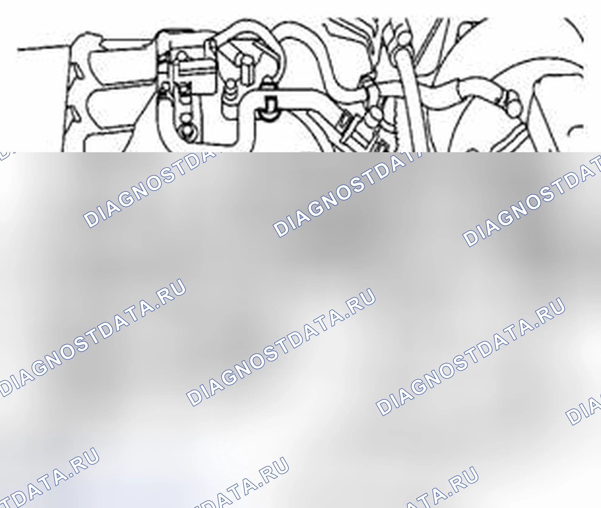 Рис. 3. Suzuki Equator I