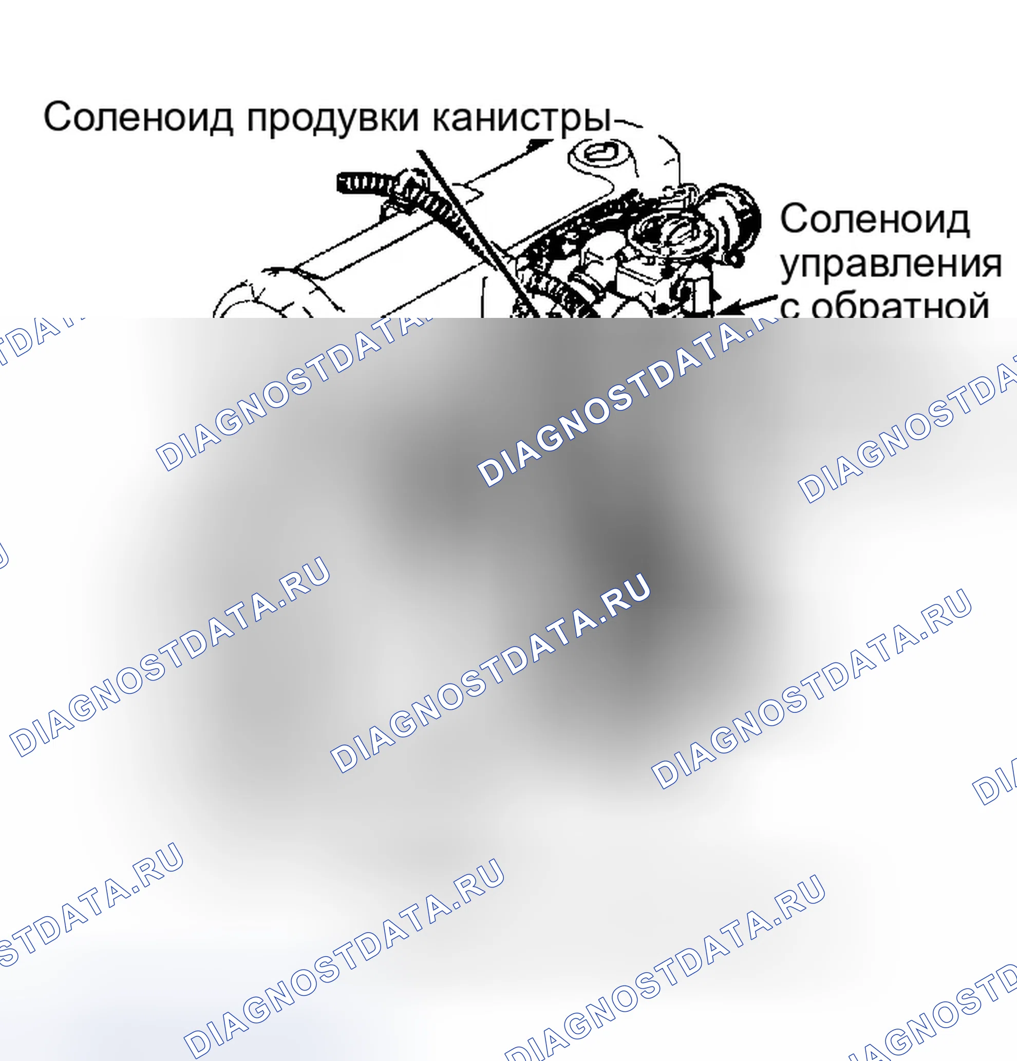 Рис. 6: Расположение компонентов (6 из 7). Ford Ranger 