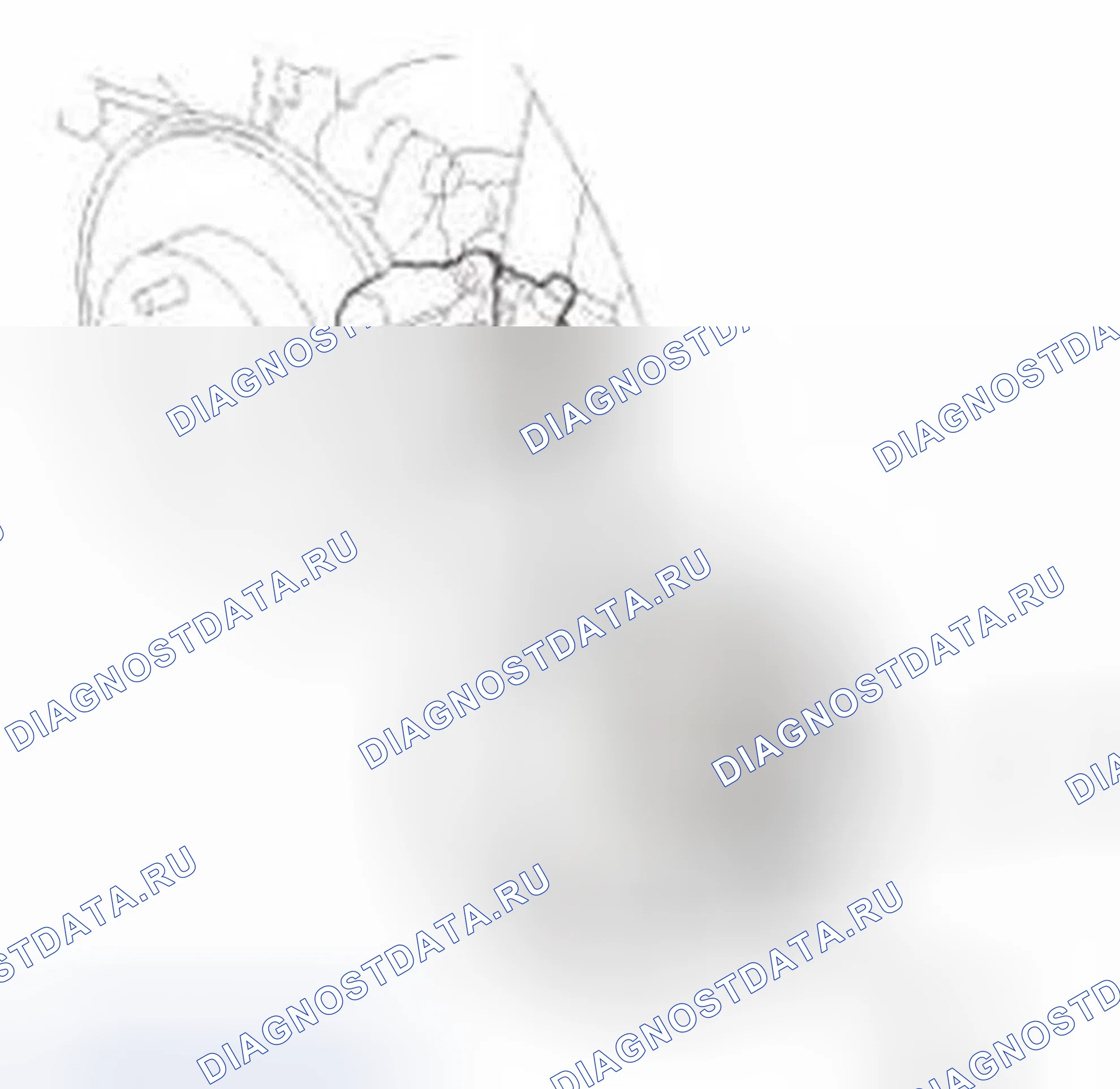 Рис. 373. Honda Civic IX