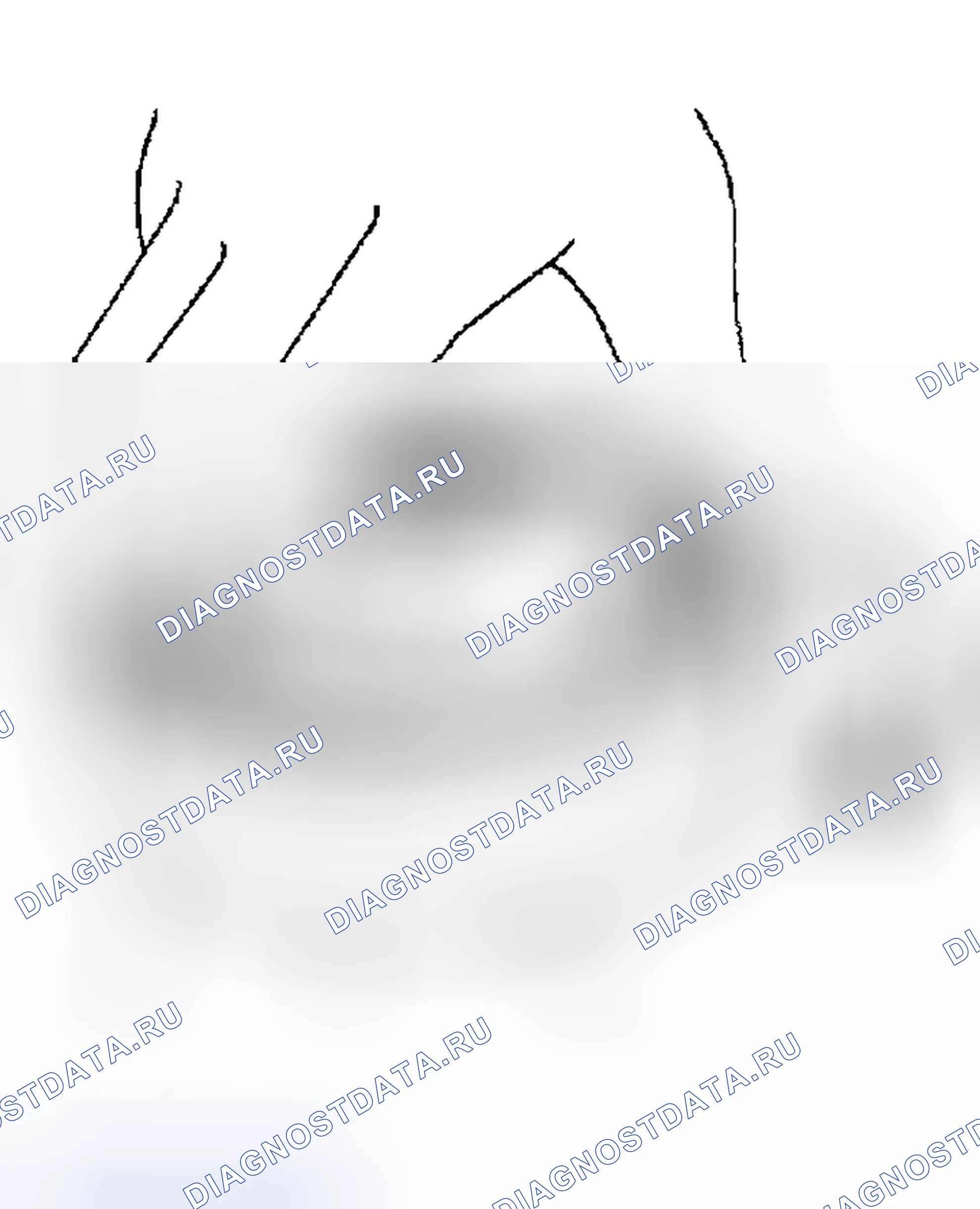 Рис. 163: ПОДШИПНИК. Nissan Sentra B15