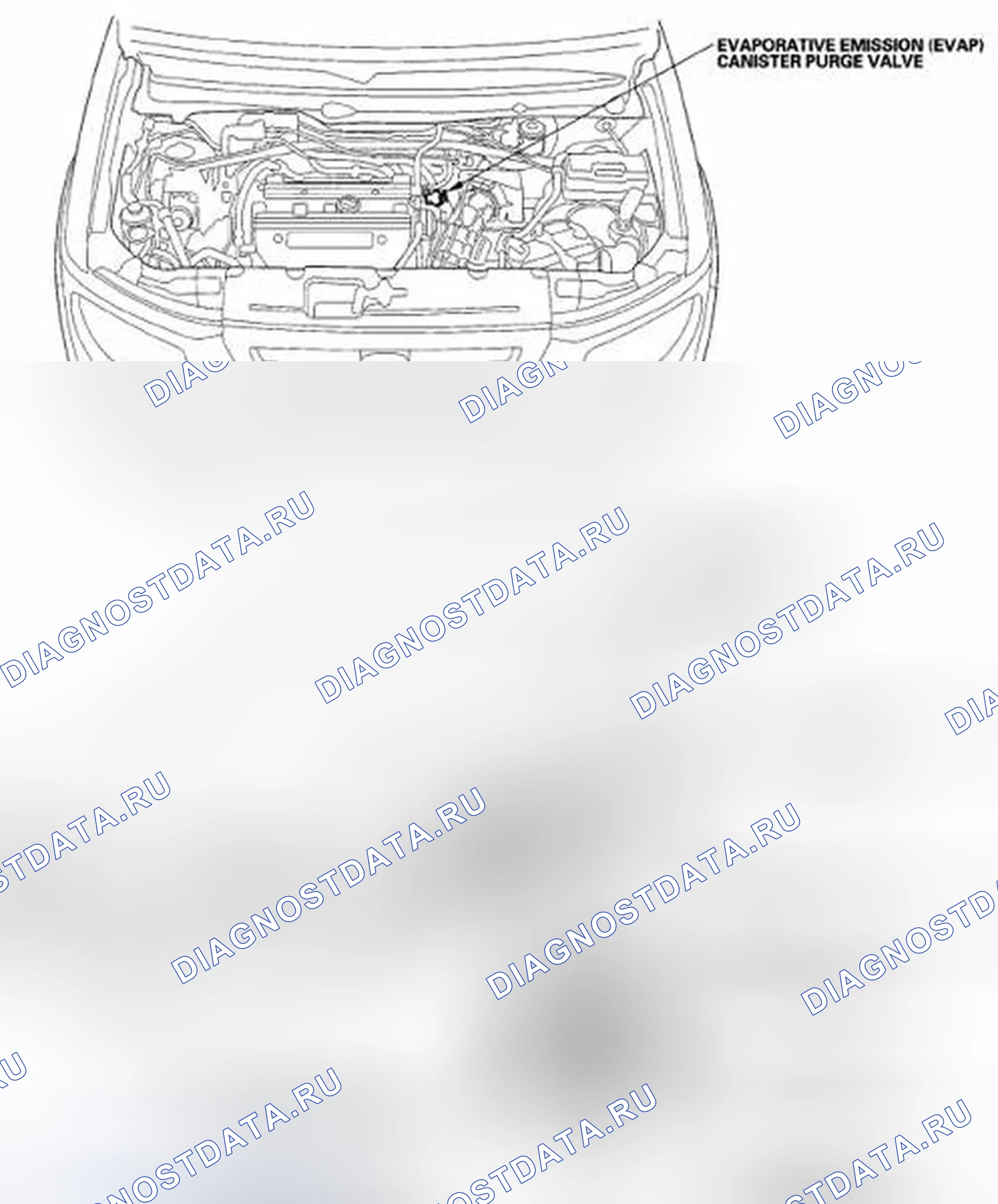 Рис. 3: Указатель расположения компонентов. Honda Element YH2 рестайлинг 2