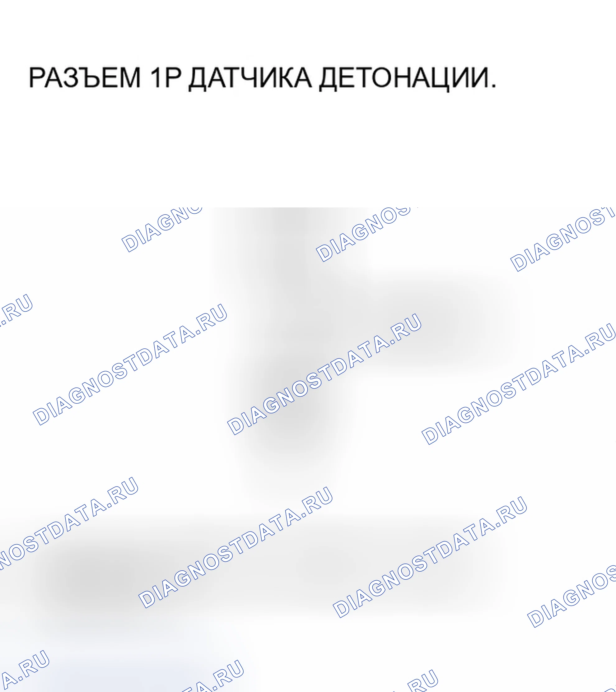 Рис. 576. Honda Accord VII рестайлинг