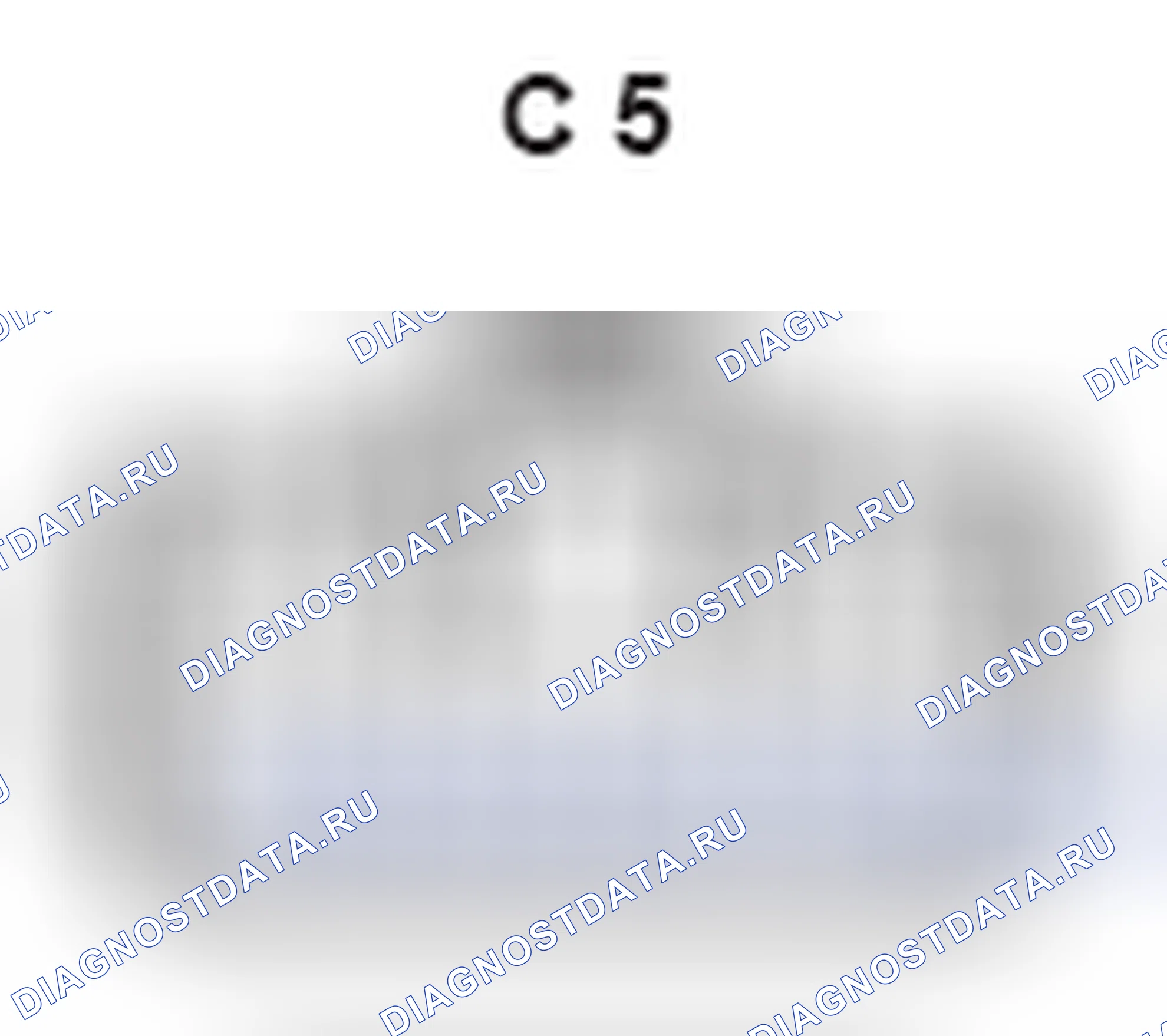 Рис. 431: Вид с торца центральной блокировки разъема ECU (C5). Lexus GX J120