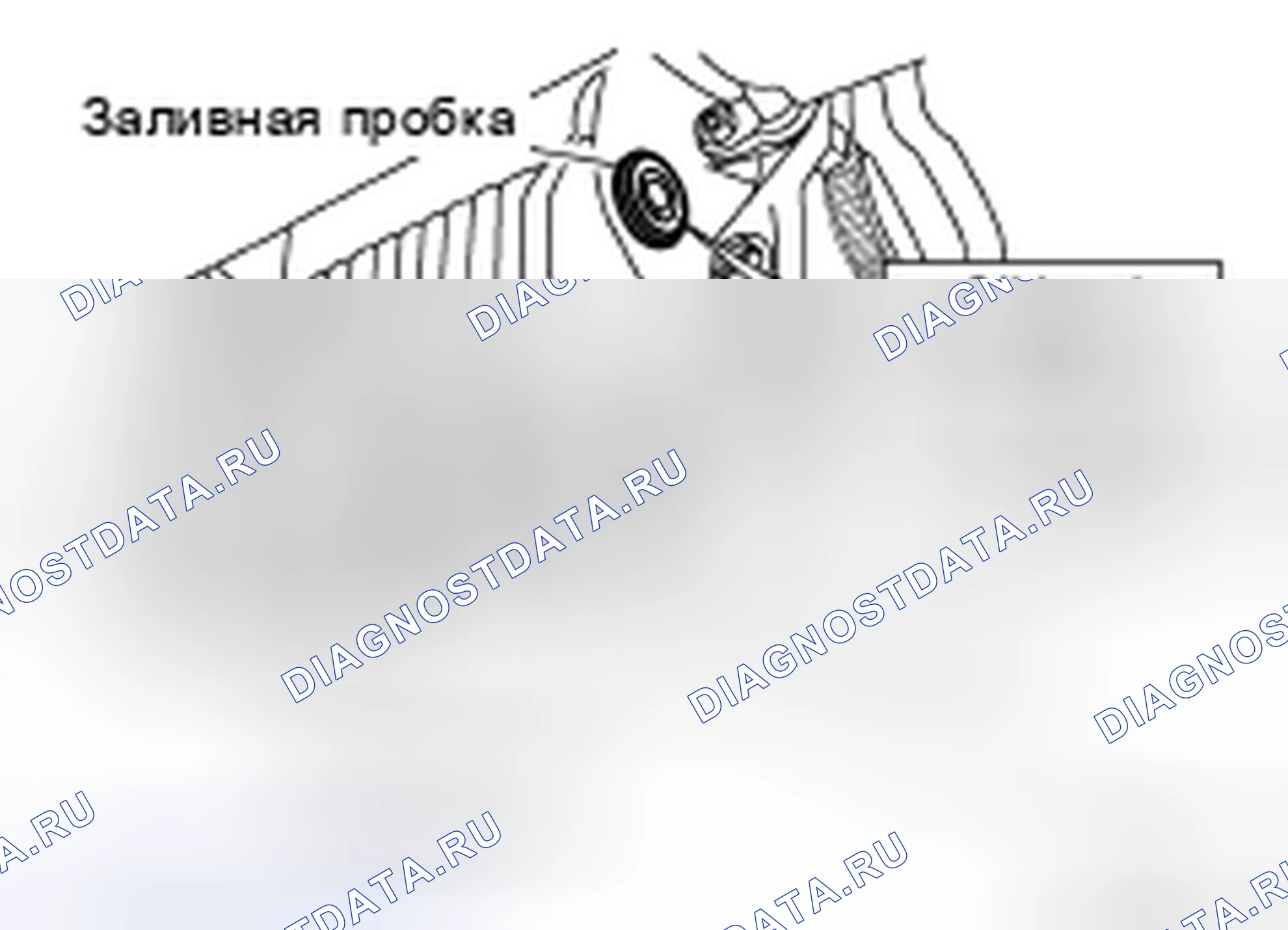 Рис. 39: УТЕЧКА И УРОВЕНЬ МАСЛА. Nissan Pathfinder III