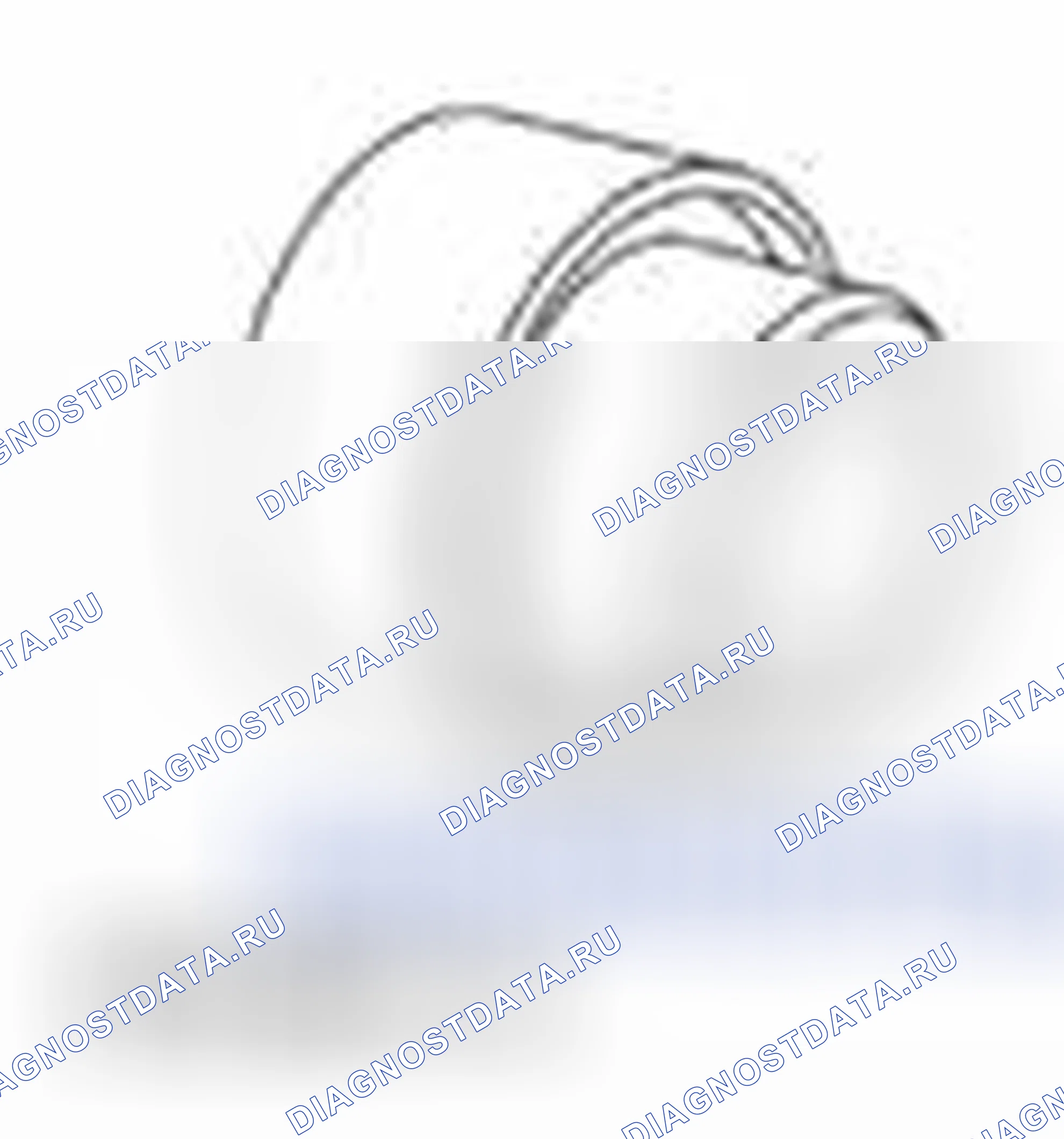 Рис. 2003. Ford Pickup F250 Super Duty II