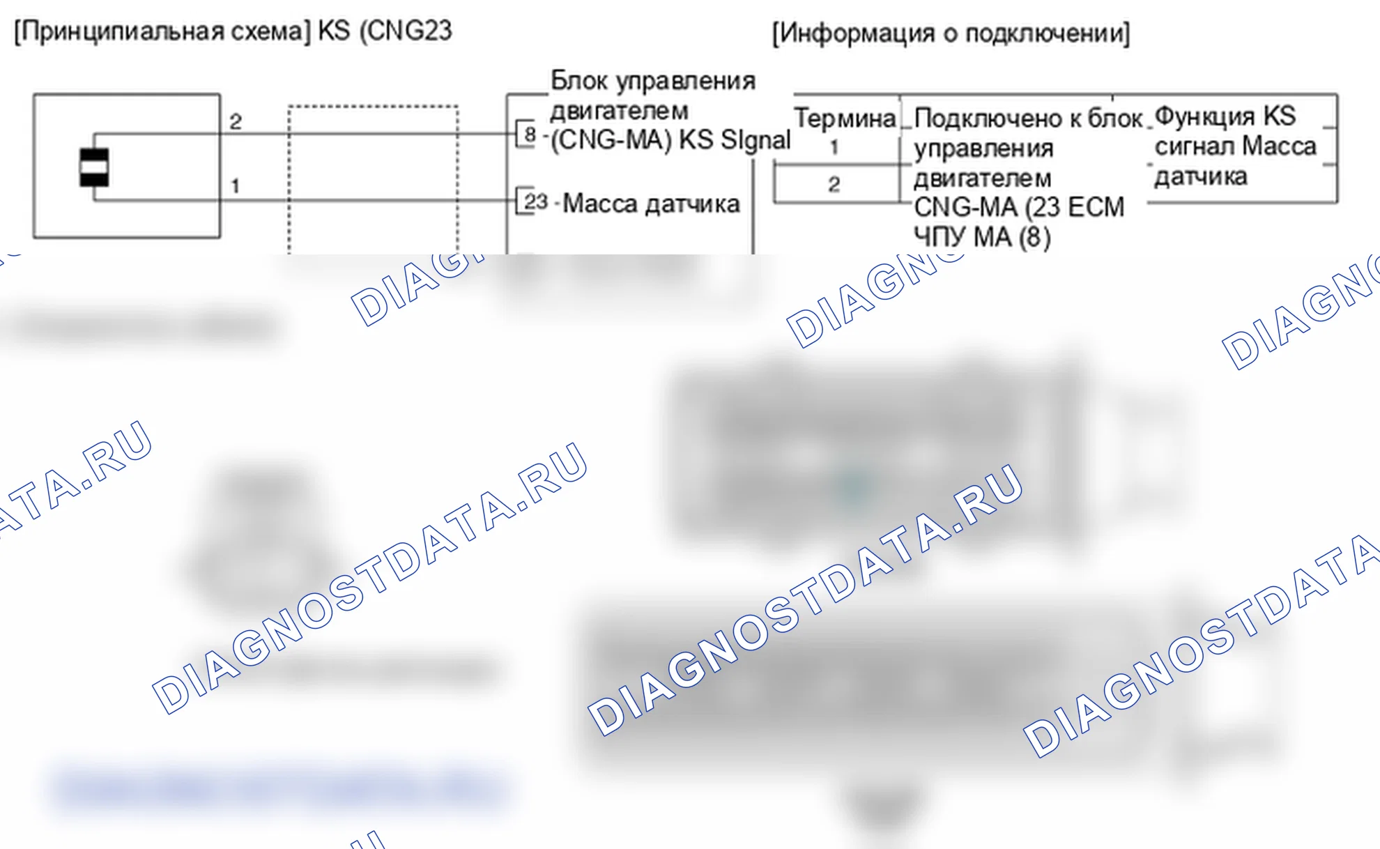 Фрагмент электросхемы: Датчик детонации. Hyundai Elantra V рестайлинг