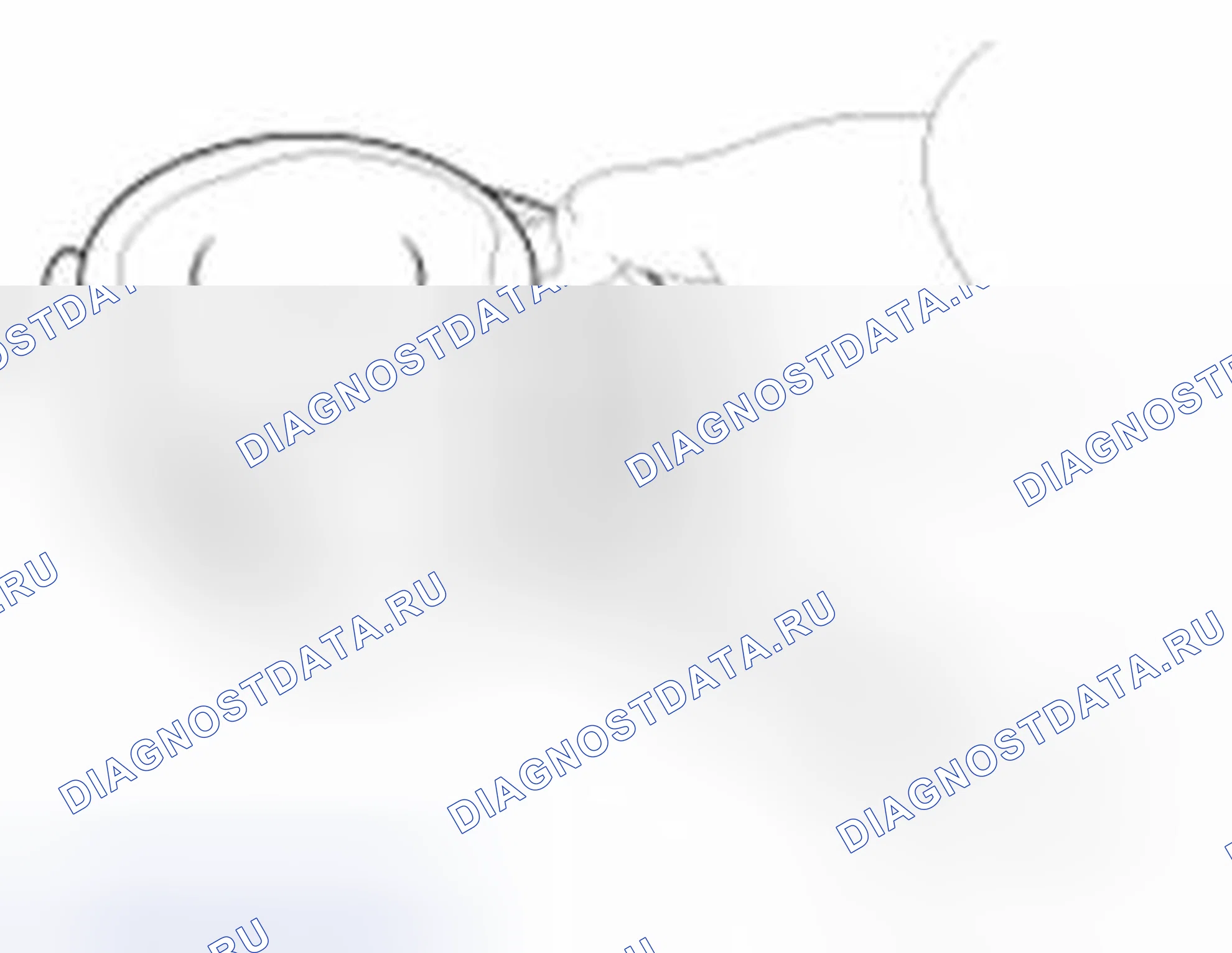 Рис. 457: Поршень и кольца. Geely SC7 I