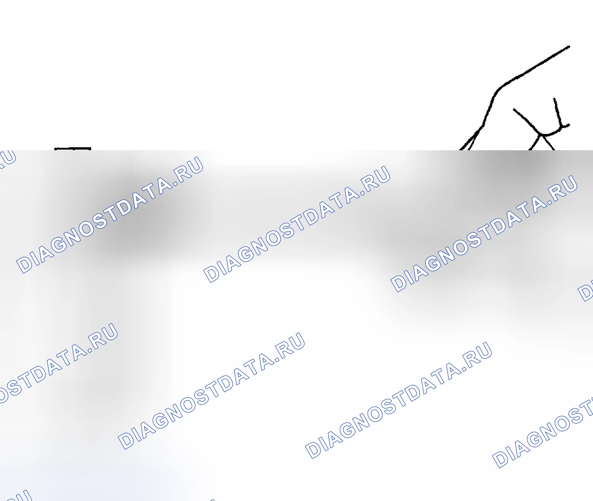 Рис. 1341. Hyundai Terracan I
