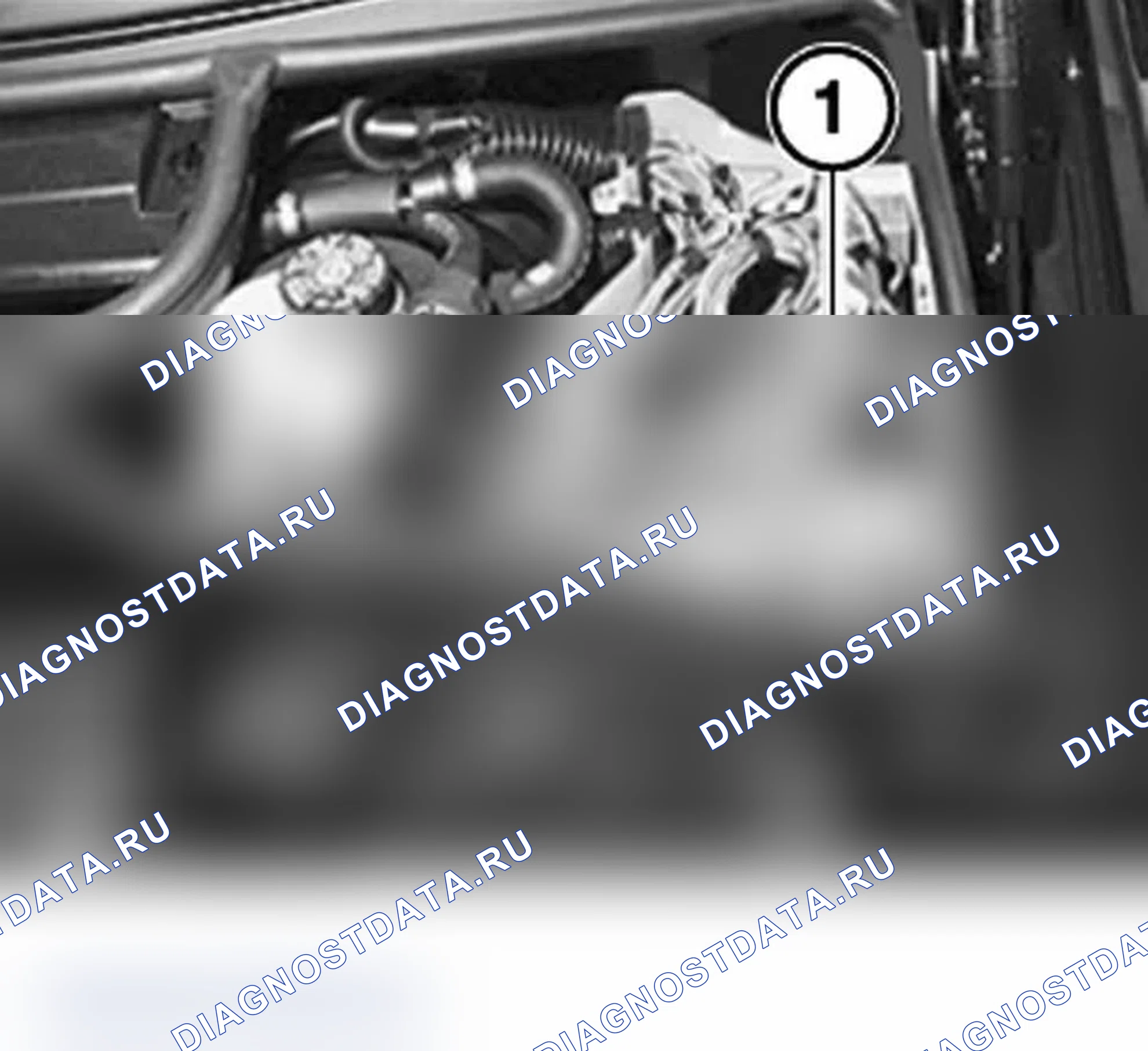 Рис. 66: ГИДРАВЛИЧЕСКОЕ РЕЛЕ НАСОСА (ТРАНСМИССИЯ SMG). BMW M3 E46