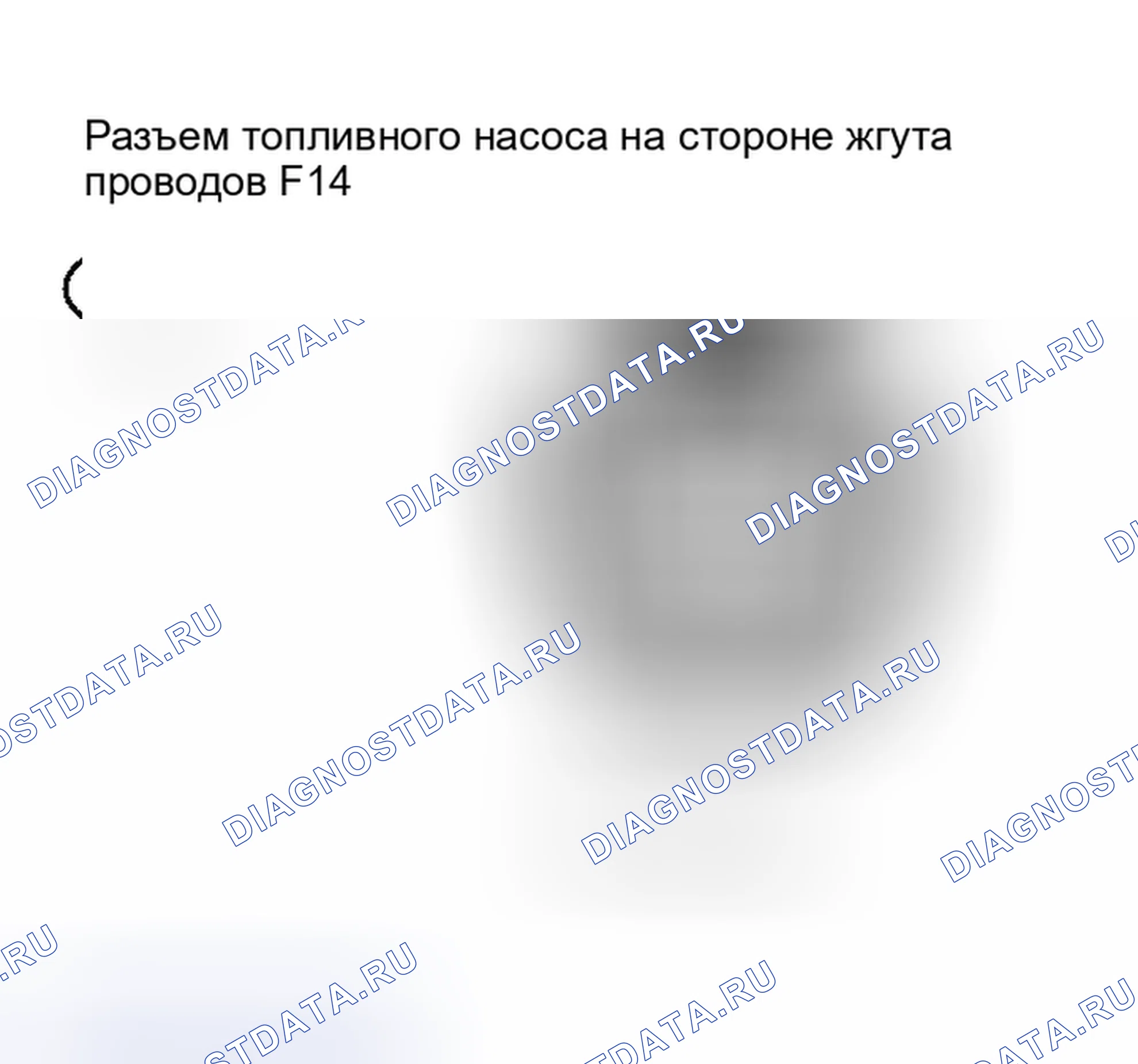 Рис. 297. Scion xB I