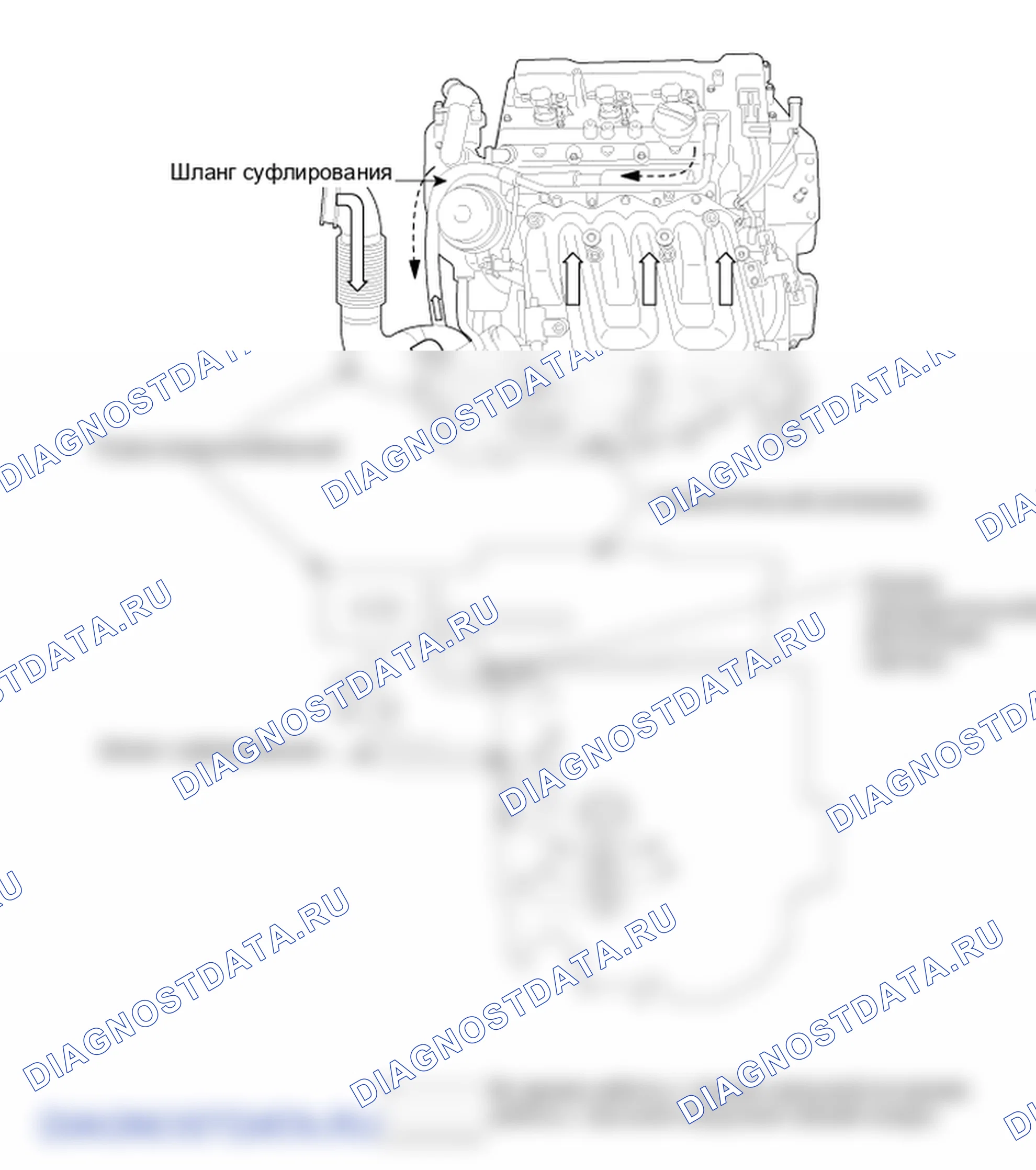 Компоненты и их расположение. Hyundai Santa Fe CM
