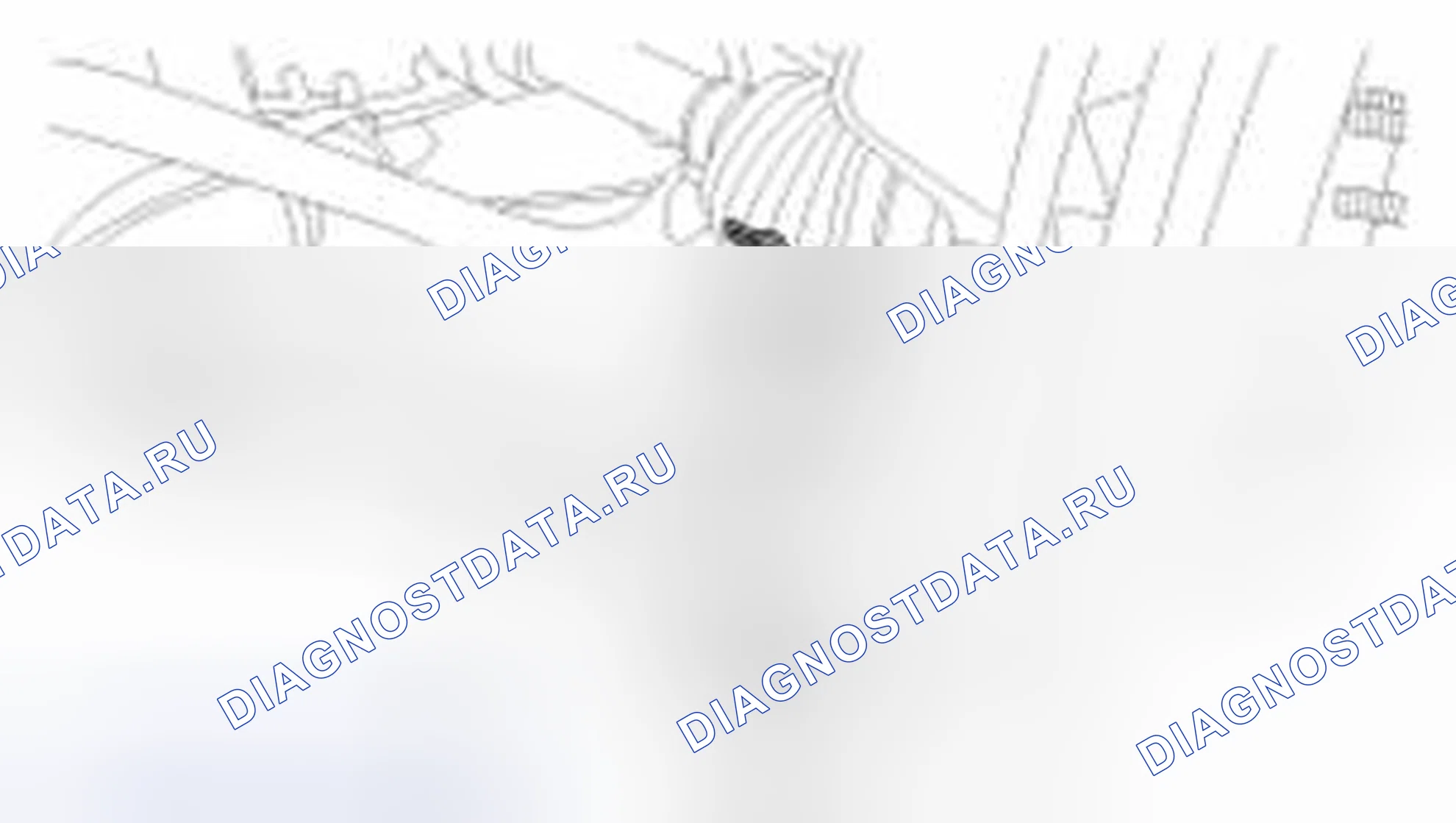 Рис. 441. Haval Beast (Shenshou) I