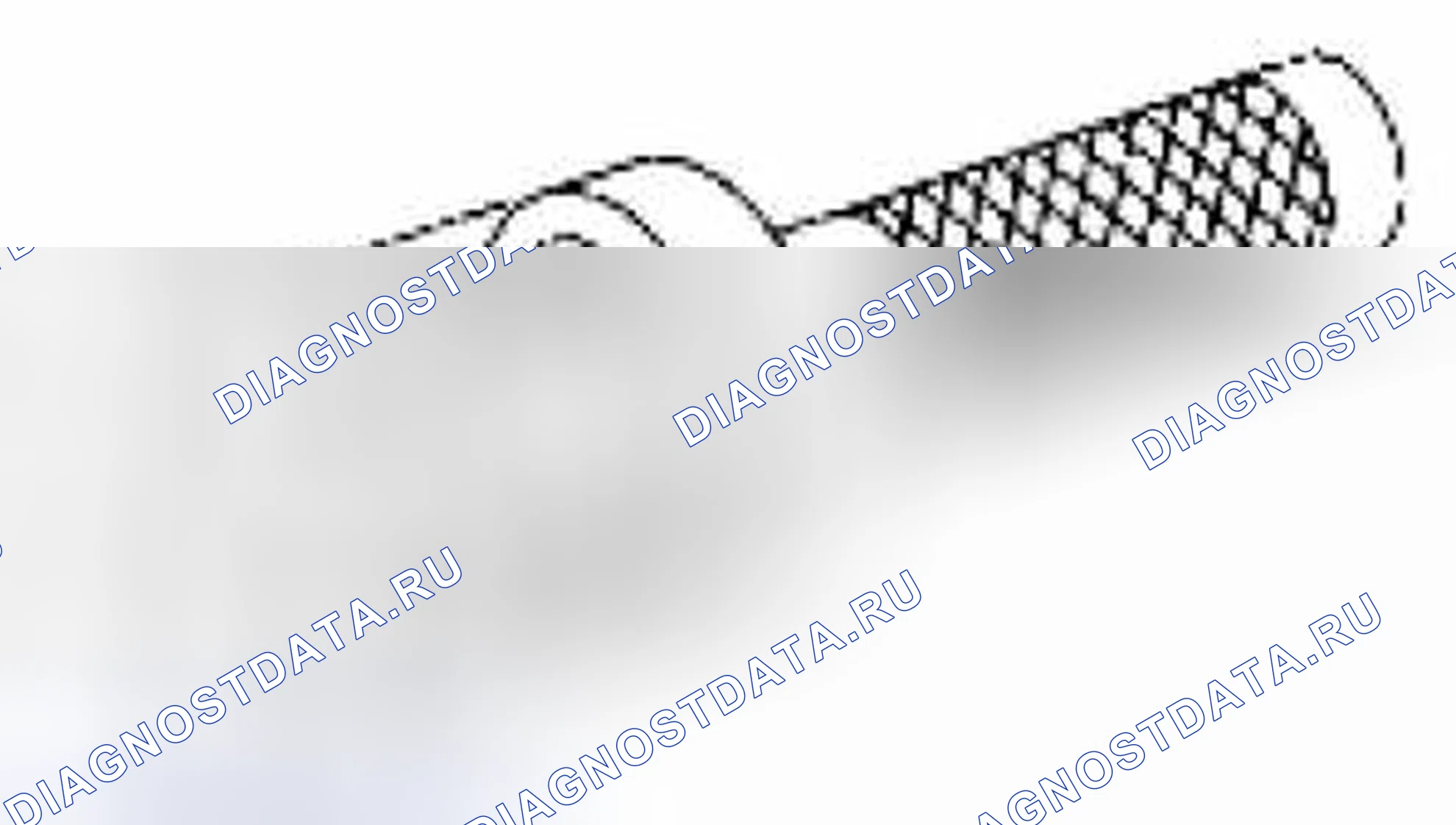 Рис. 249. Suzuki Equator I