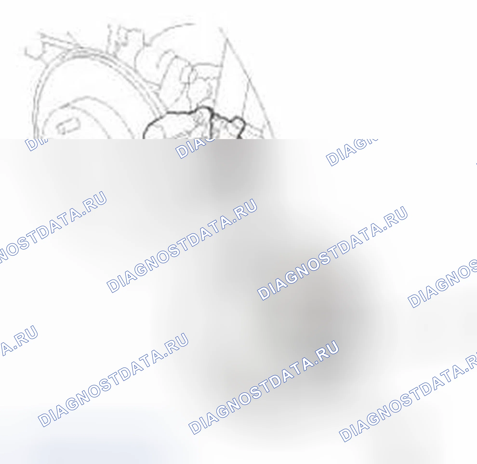 Рис. 526. Honda Civic IX
