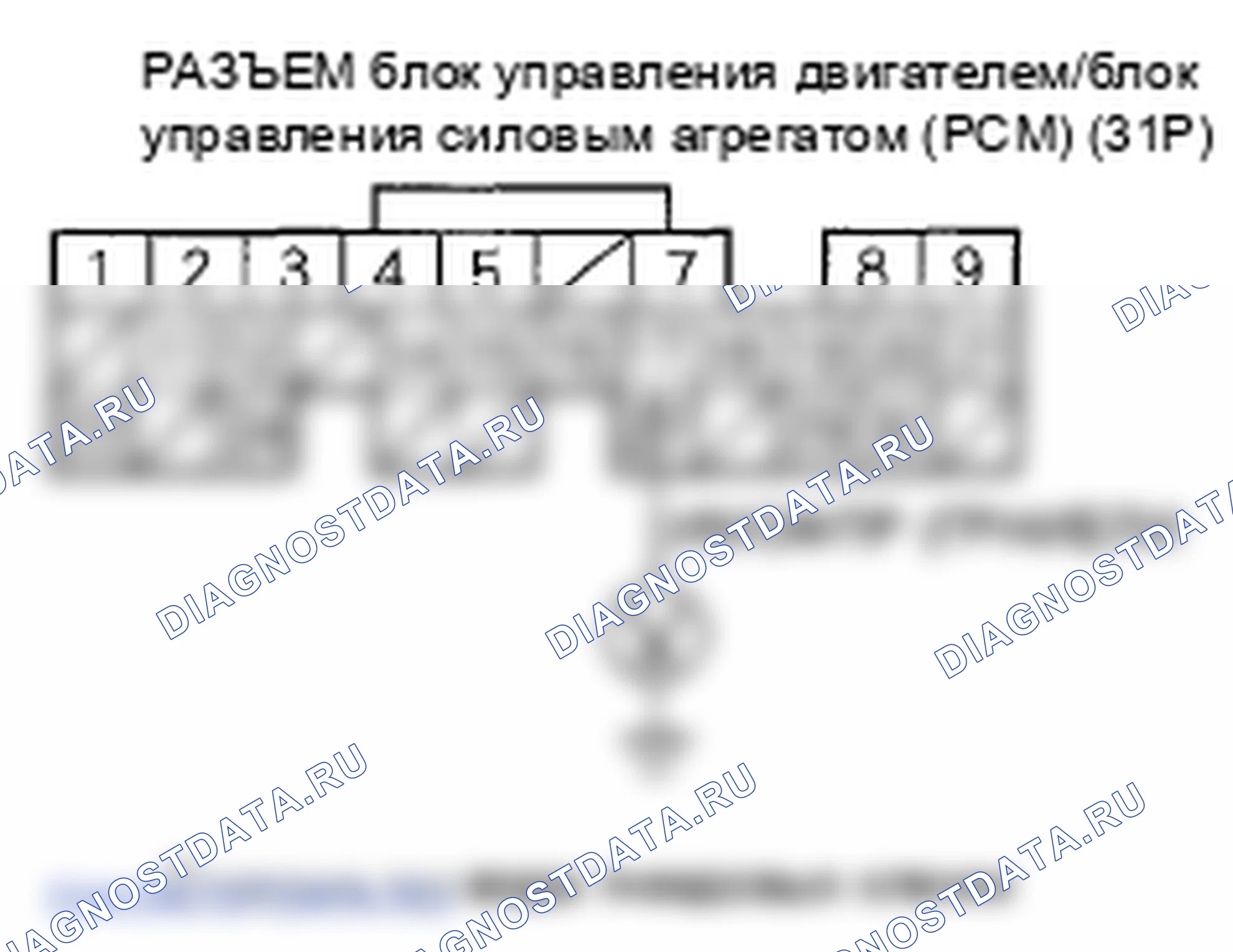 Рис. 16. Honda Element YH2 рестайлинг 2