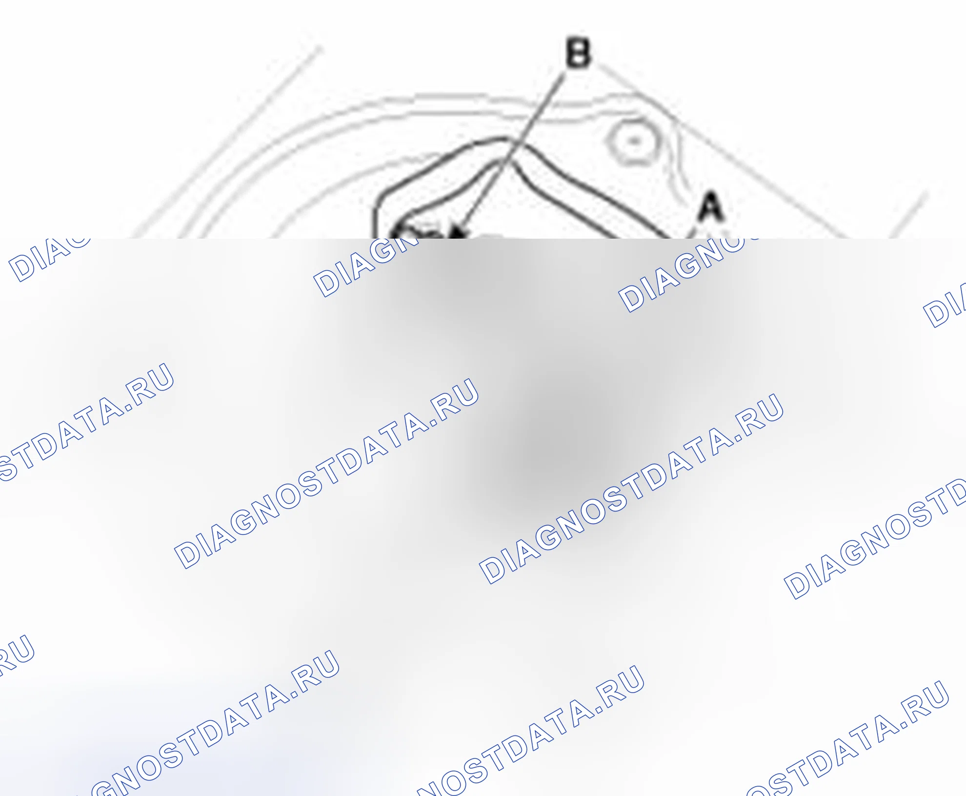 Рис. 71. Haval Beast (Shenshou) I