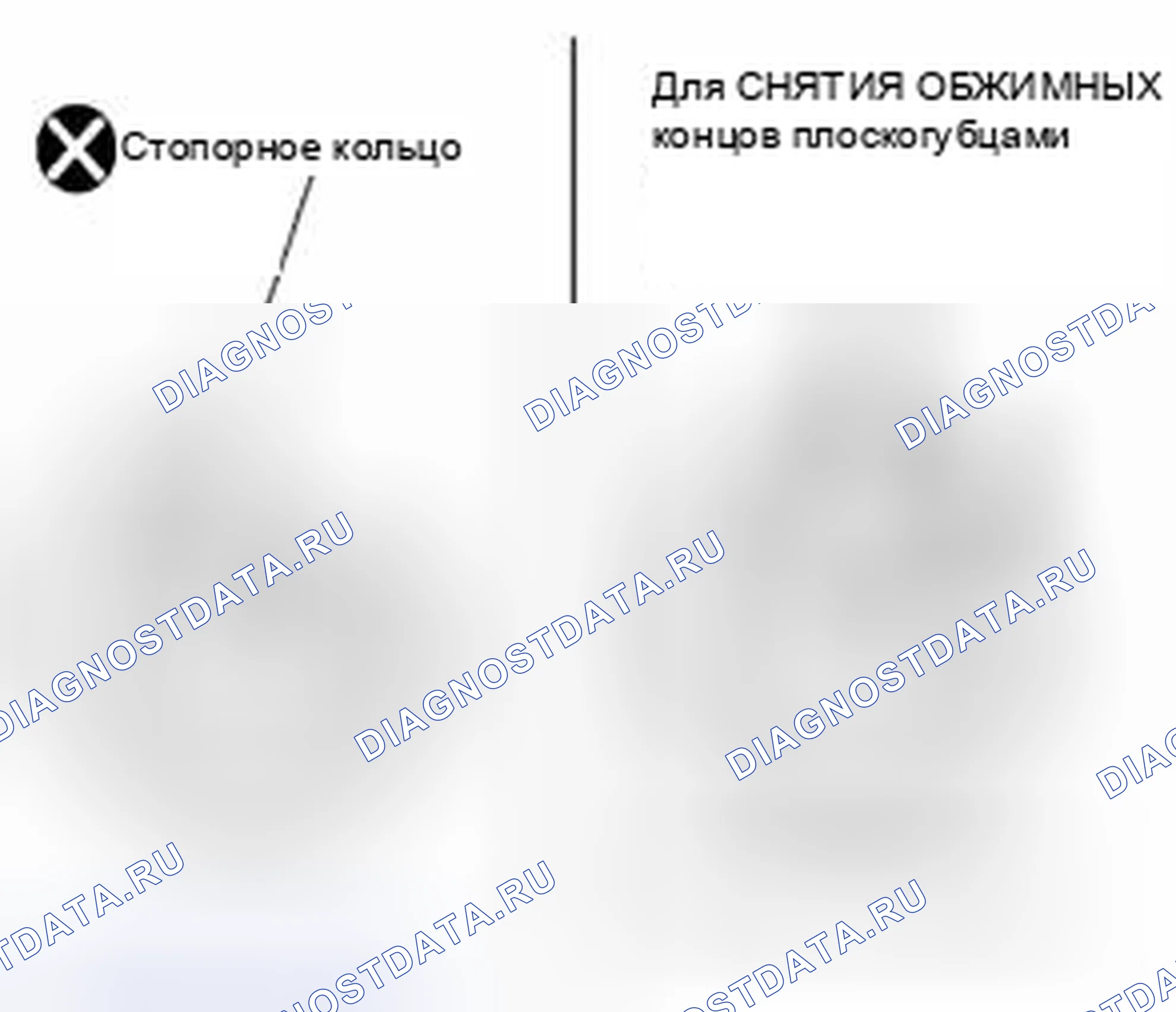 Рис. 61. Suzuki Equator I